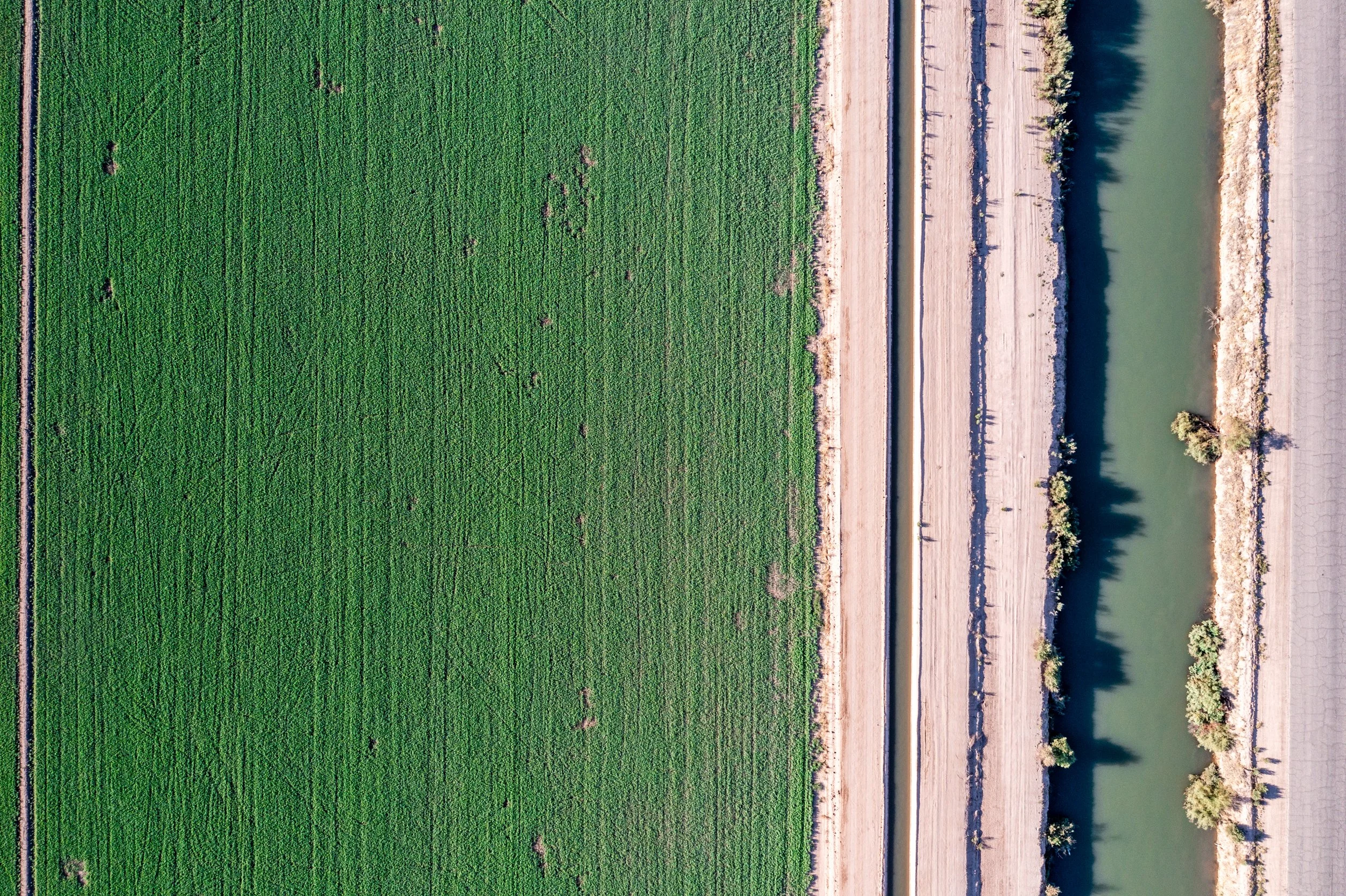DJI_0475.jpg