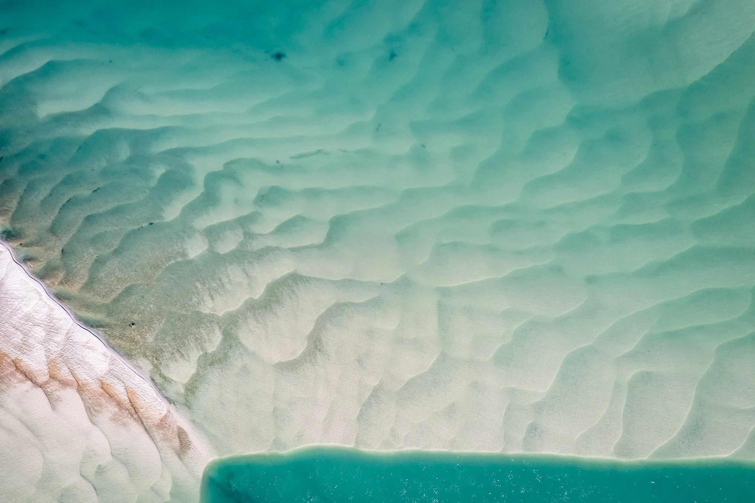 DJI_0731.jpg
