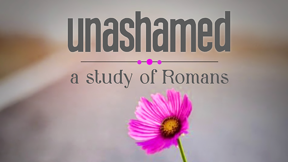 Women's Bible Study