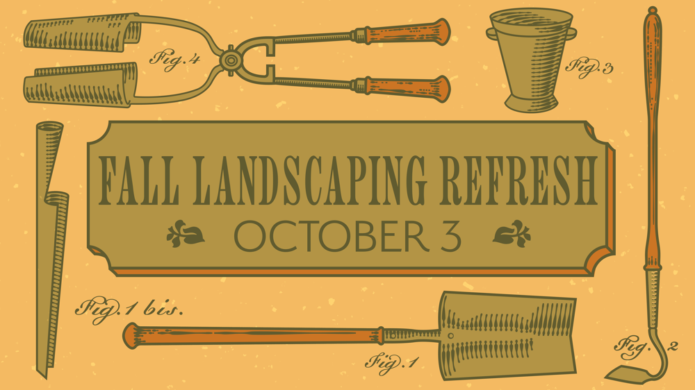 Fall Landscaping Refresh