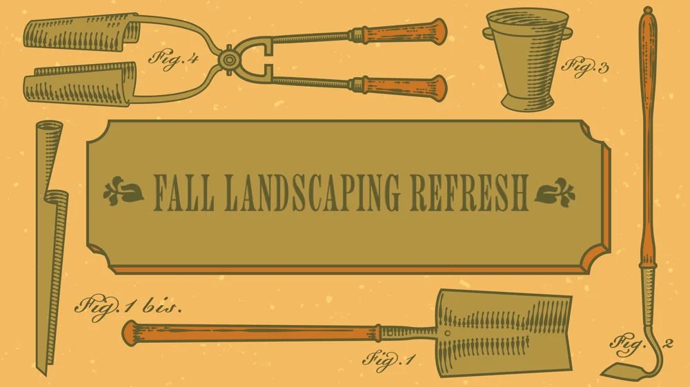 Fall Landscaping Refresh