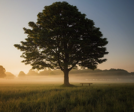 Foundations of Presence Through Mindfulness Meditation