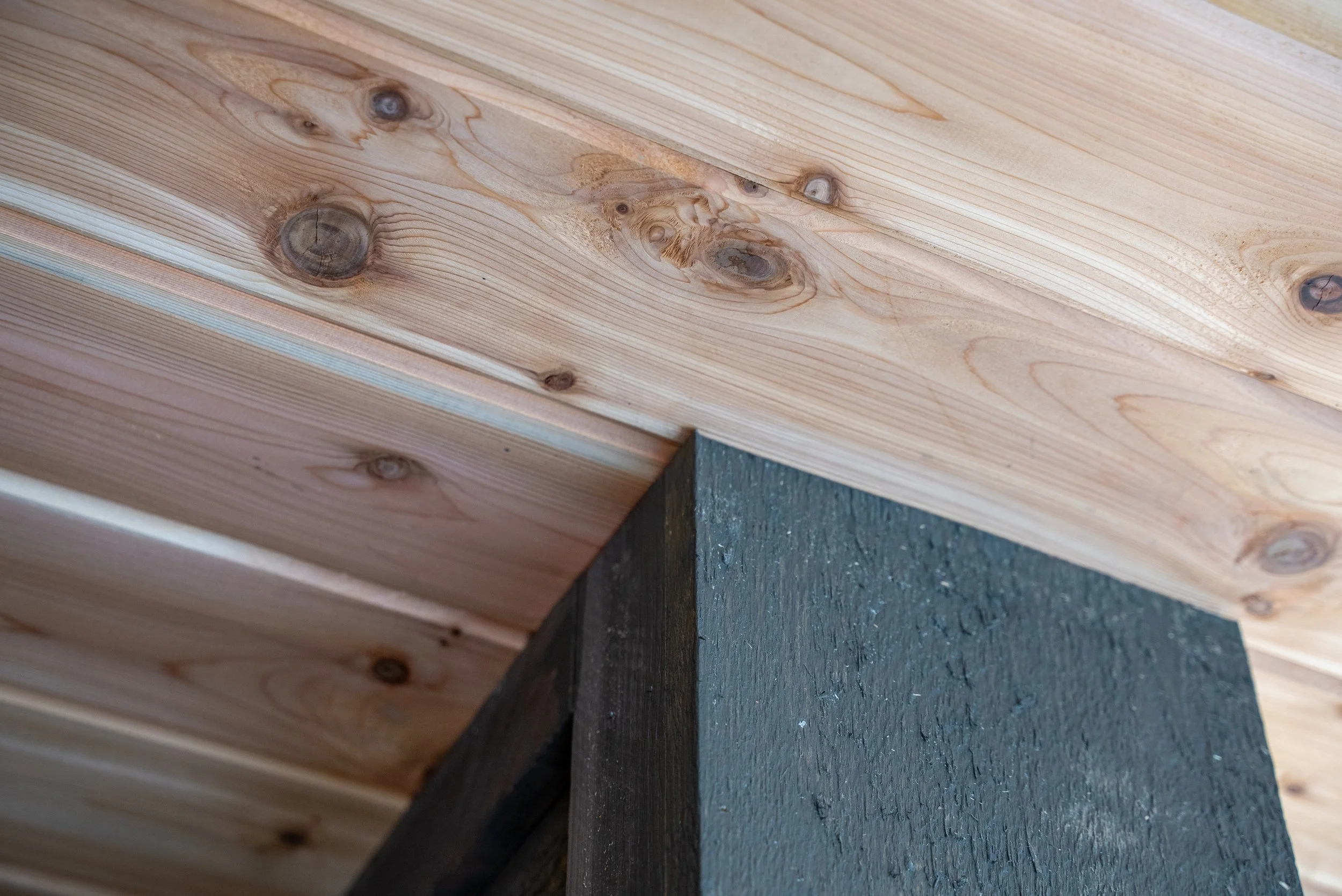 Pines Sauna-14.jpg