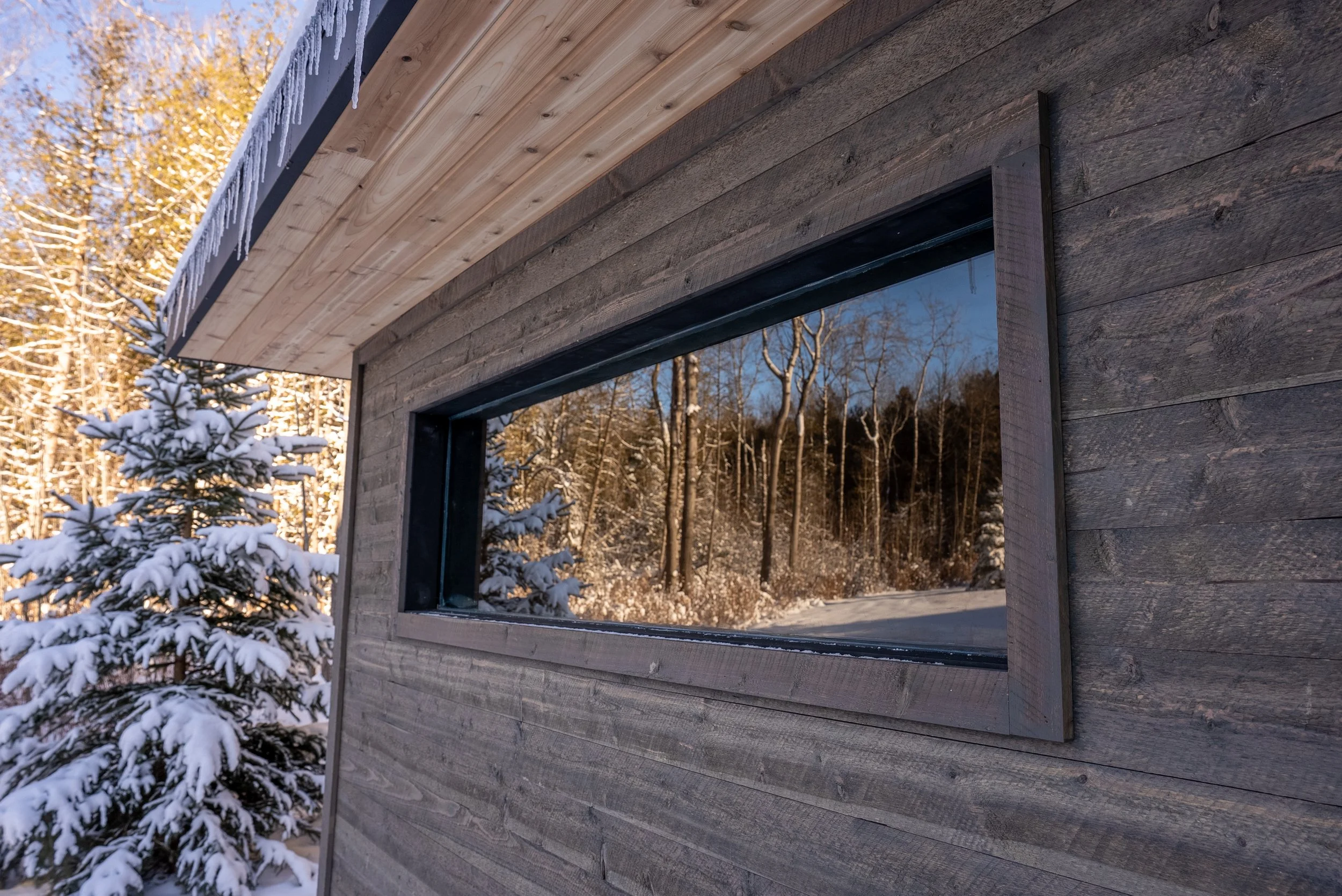 Pines Sauna-35.jpg