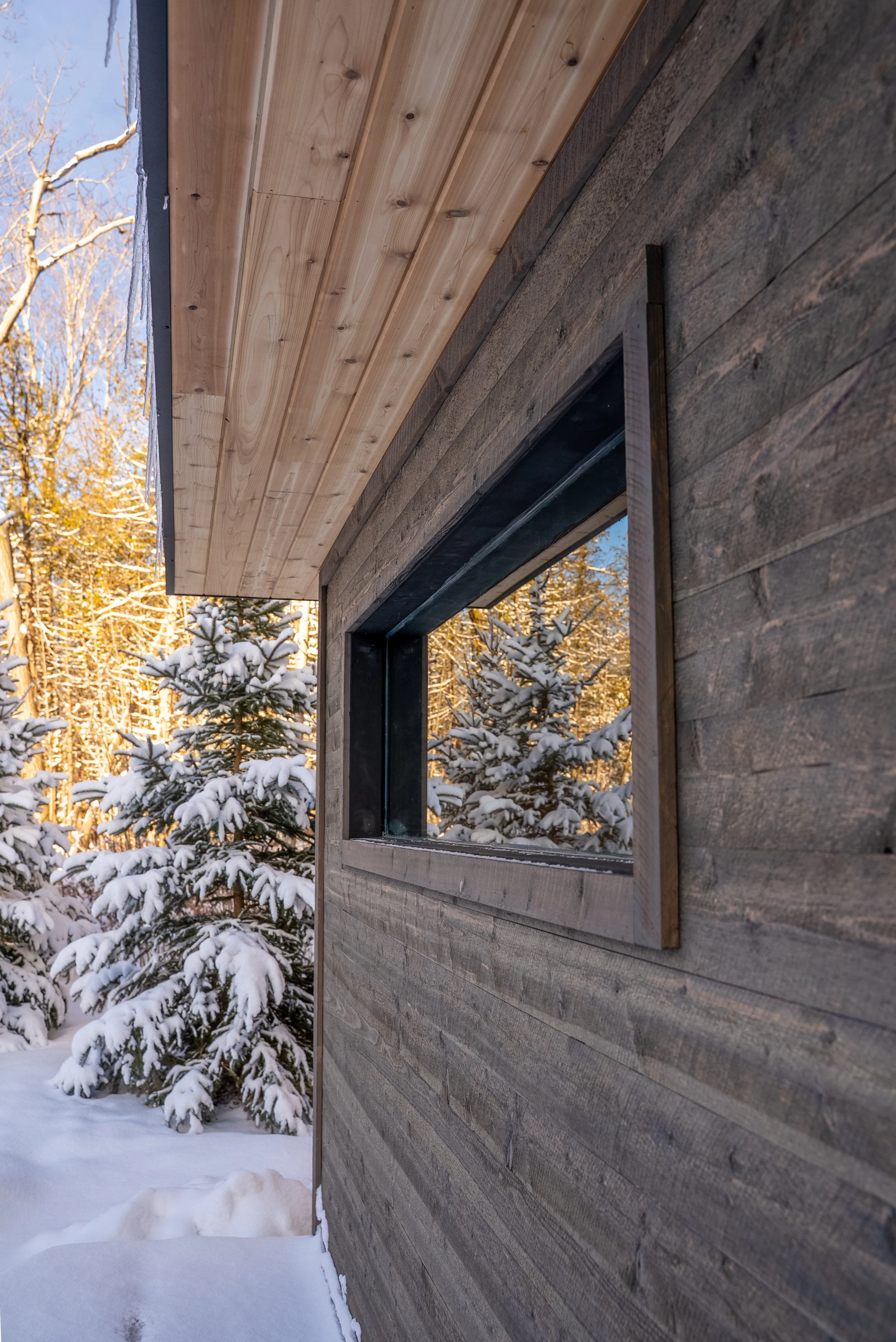 Pines Sauna-15.jpg