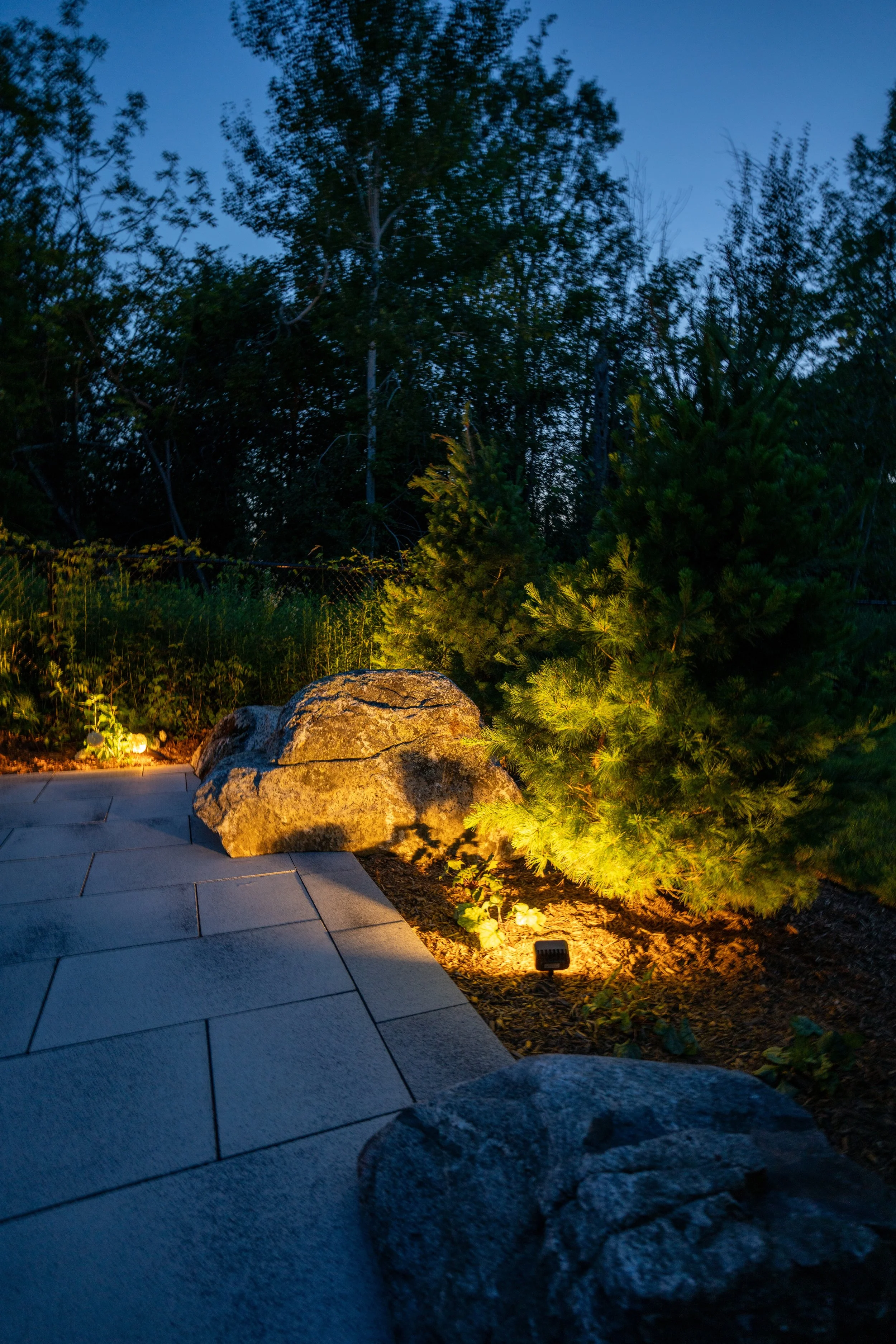 Copy of Pines Watson Photos-42.jpg