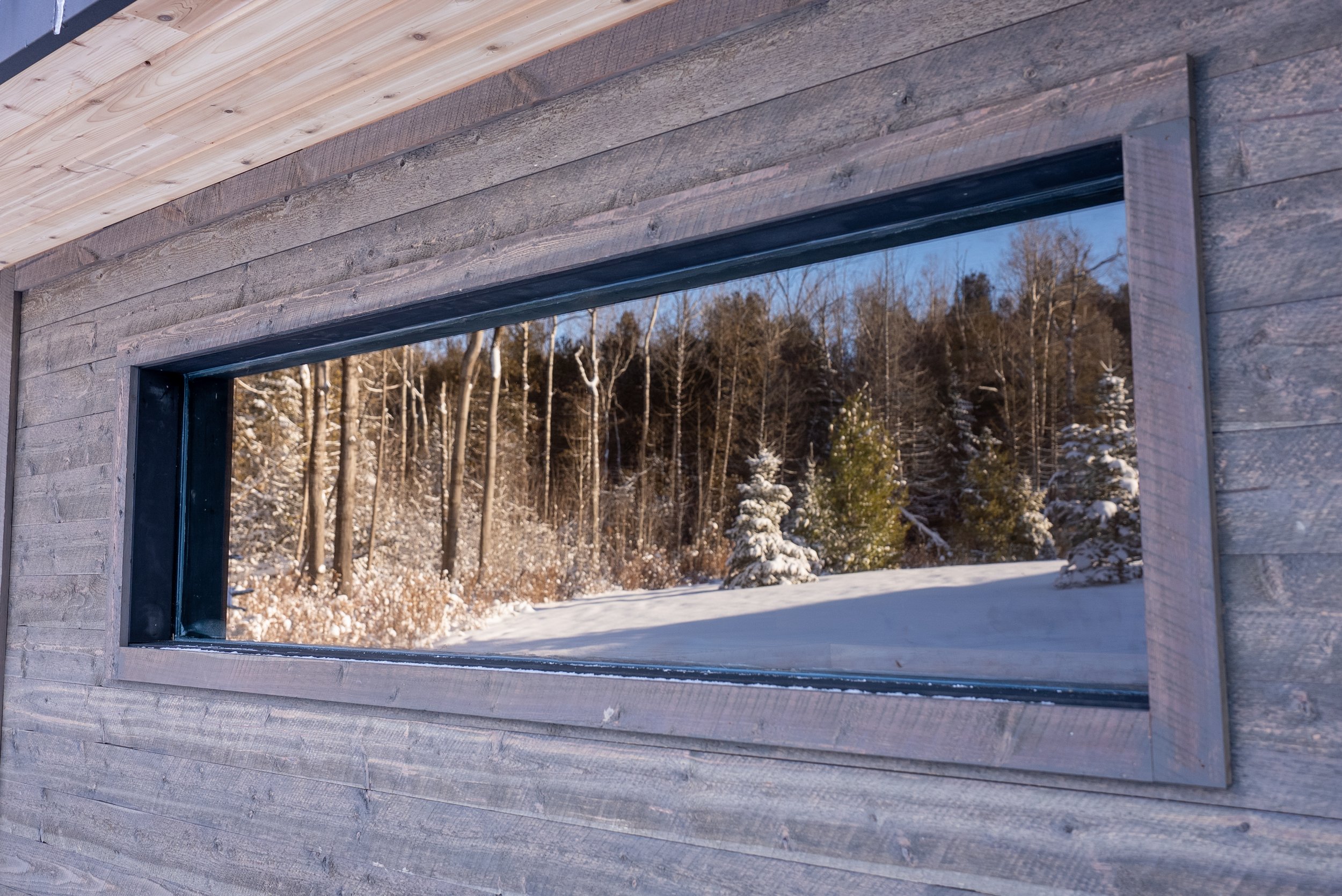 Pines Sauna-37.jpg