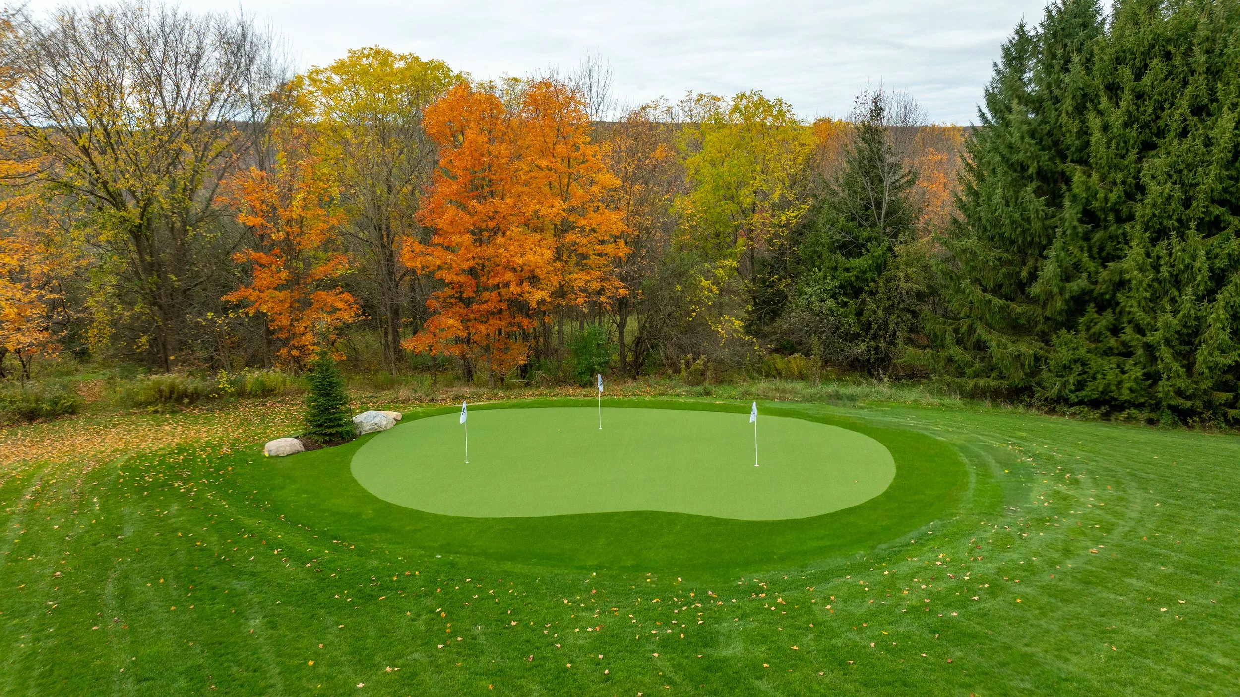 Pines Oct 19th-15 copy.jpg