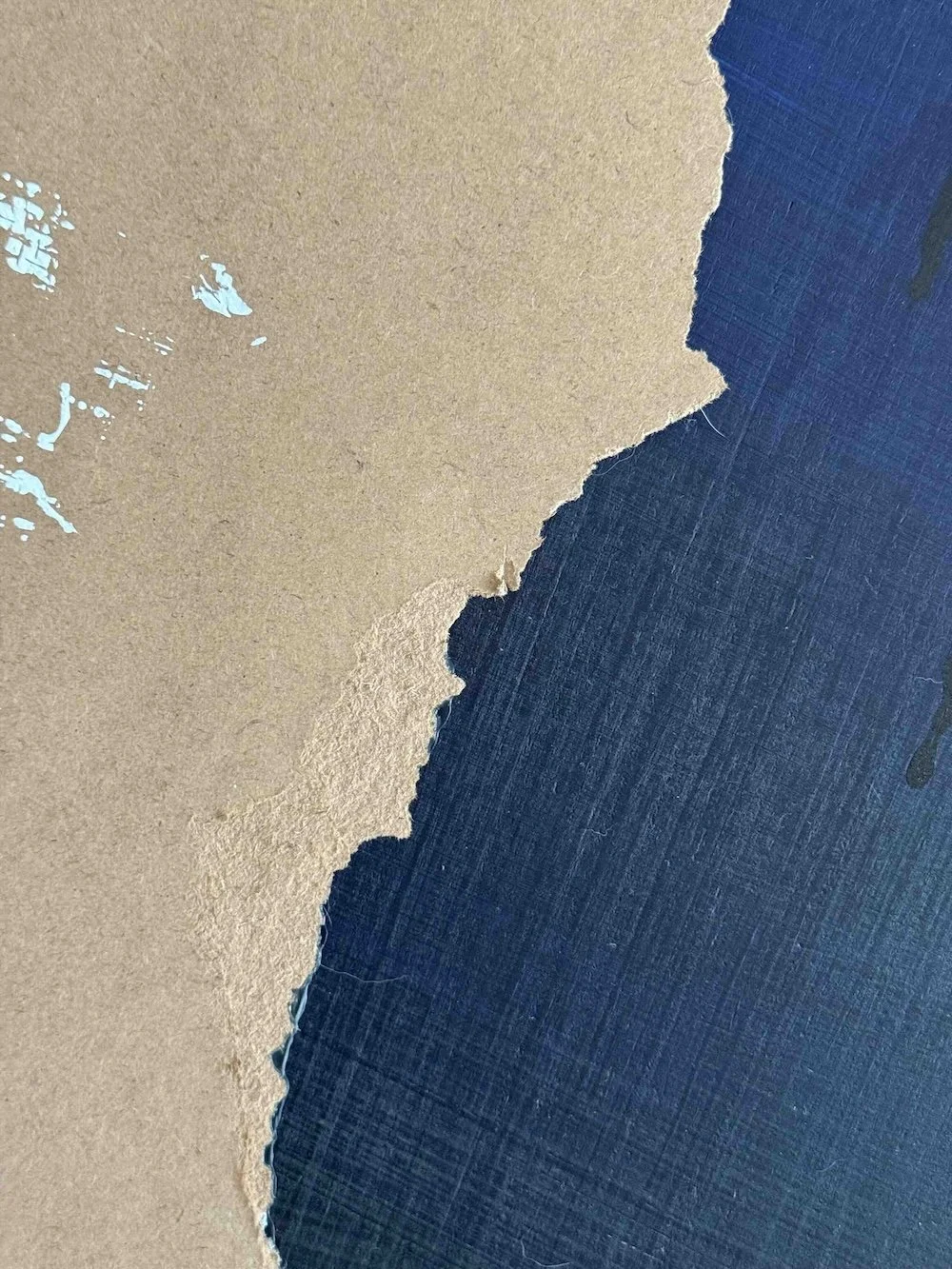 Detail 1 CURIOSITY.jpg
