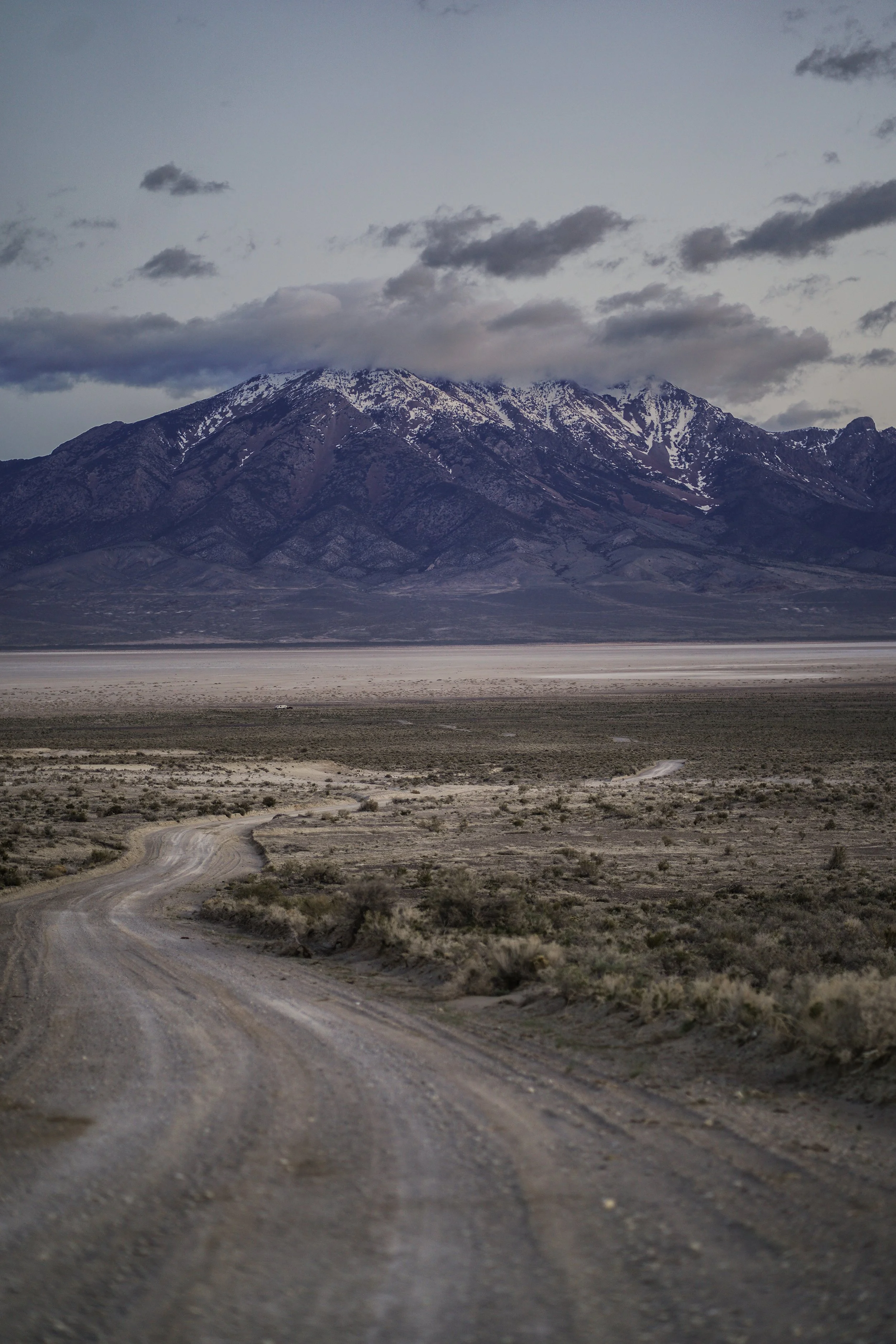 A7C00474.jpg