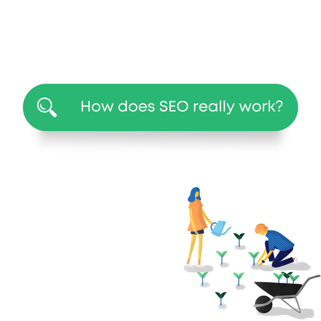 Learn | Expert SEO Knowledge at your Fingertips — Team Empathy