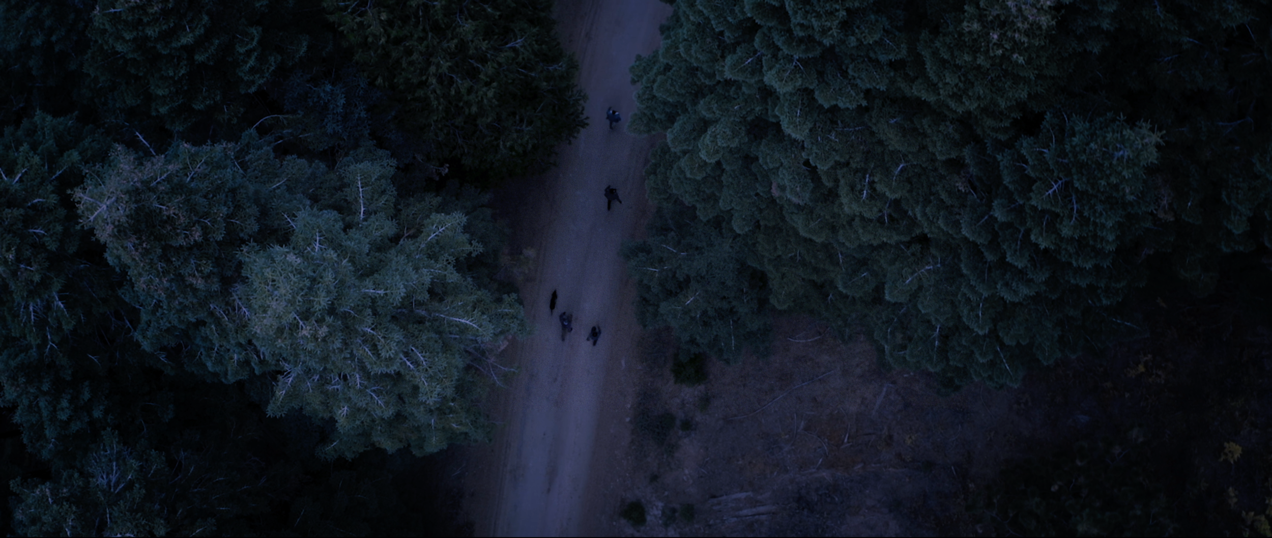 Screen Shot 2020-11-17 at 3.30.34 PM.png