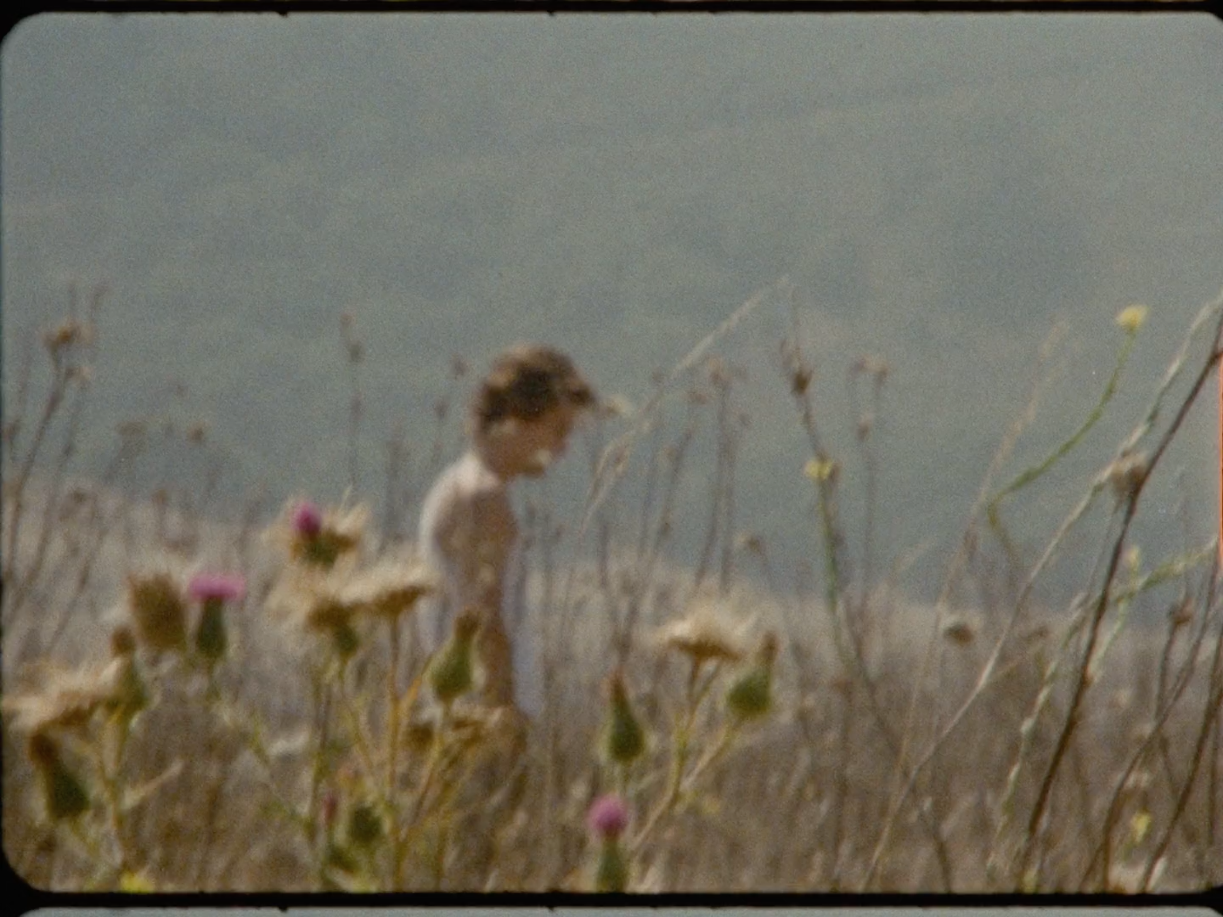 Screen Shot 2020-12-03 at 11.50.58 PM.png