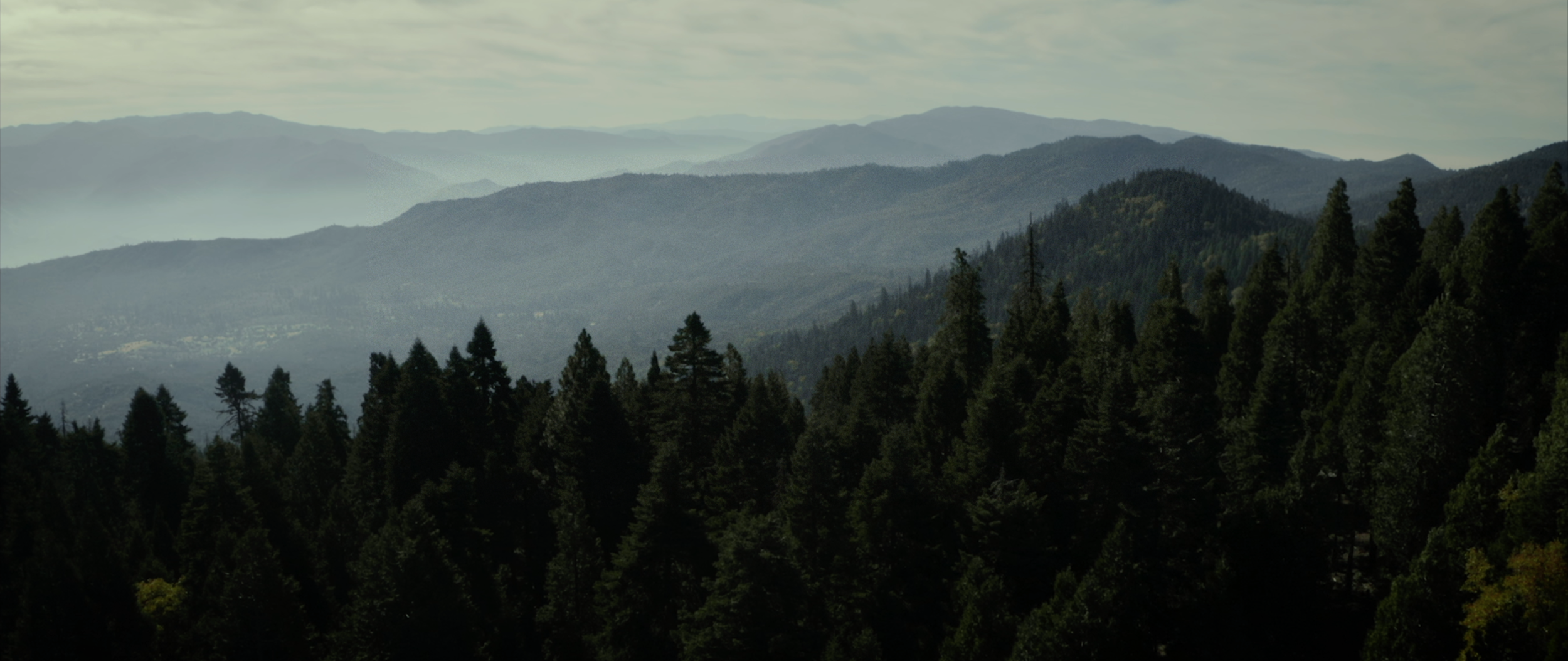 Screen Shot 2020-11-17 at 3.21.51 PM.png