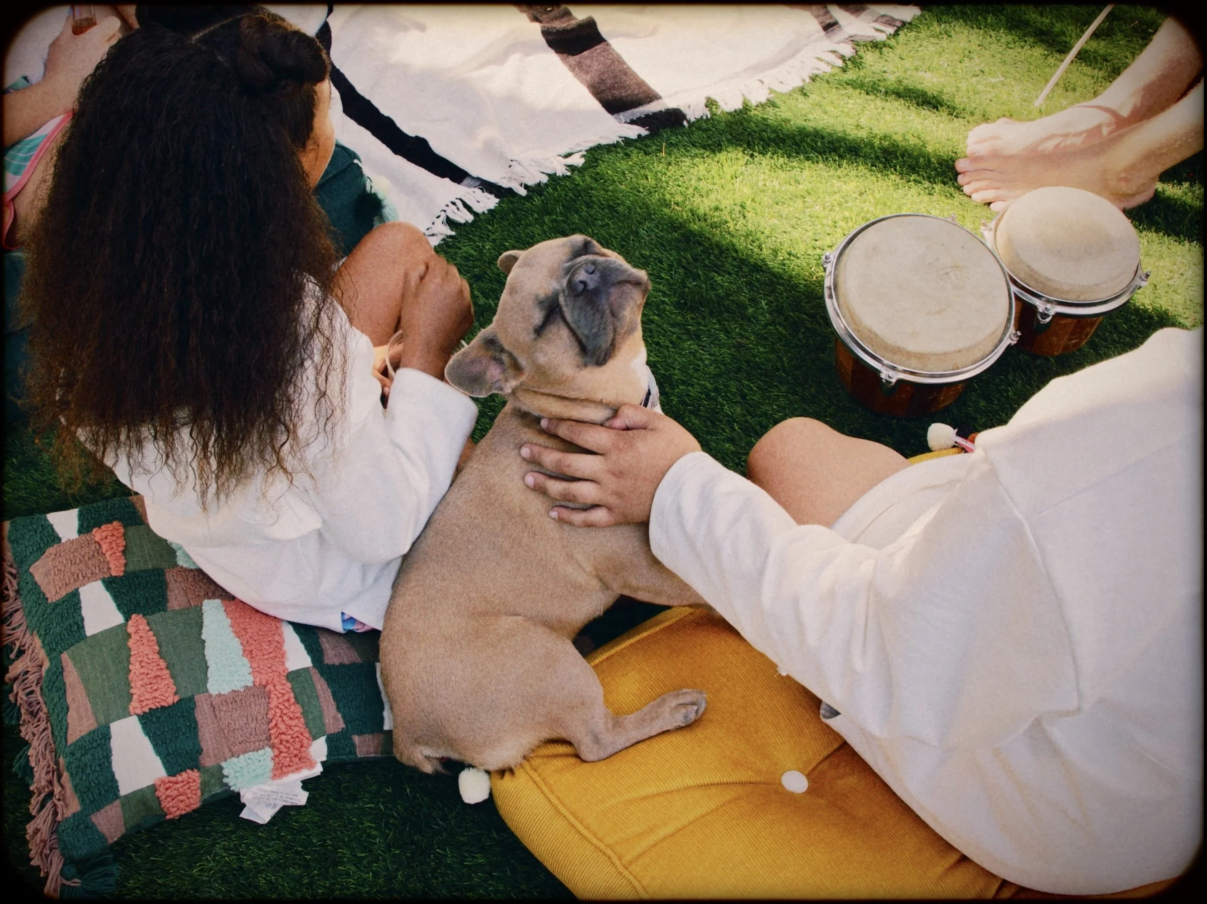 Screen Shot 2022-10-12 at 12.25.53 PM.png