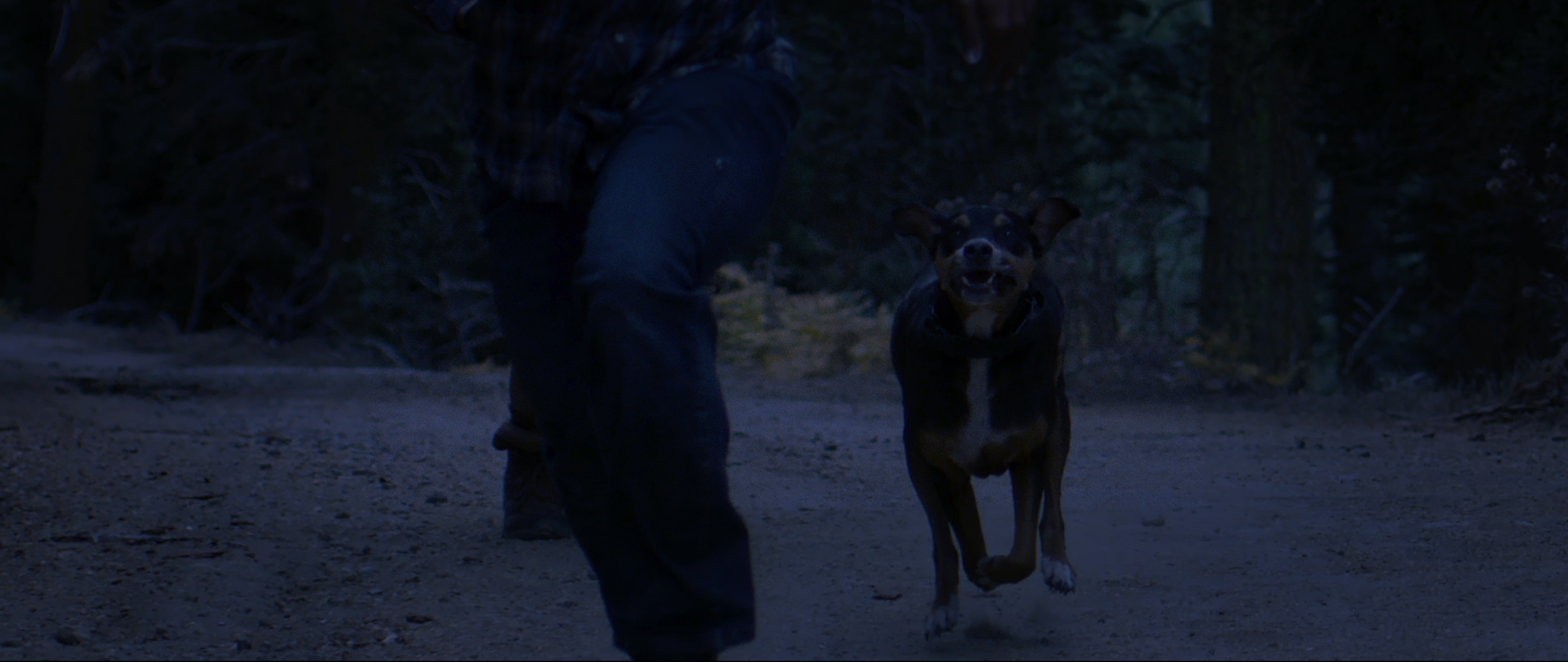 Screen Shot 2020-11-17 at 3.58.28 PM.png