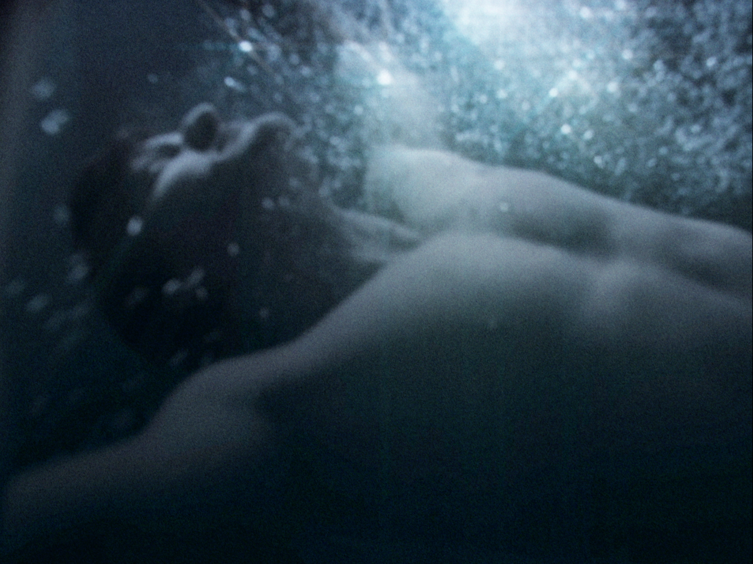 Screen Shot 2021-12-11 at 12.04.40 PM.png