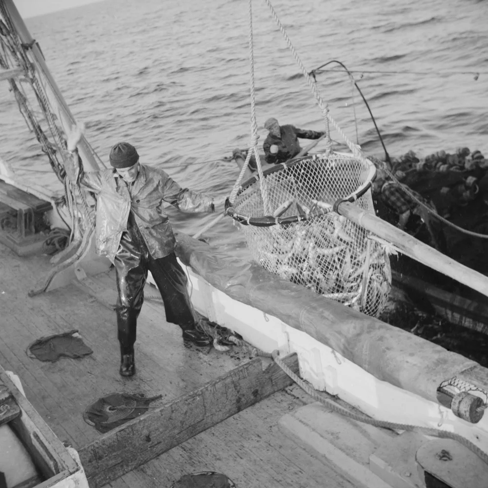   Francisco Parisi, the youngest member of the  Alden 's crew, motions the skipper to hoist the large dip net over the side  