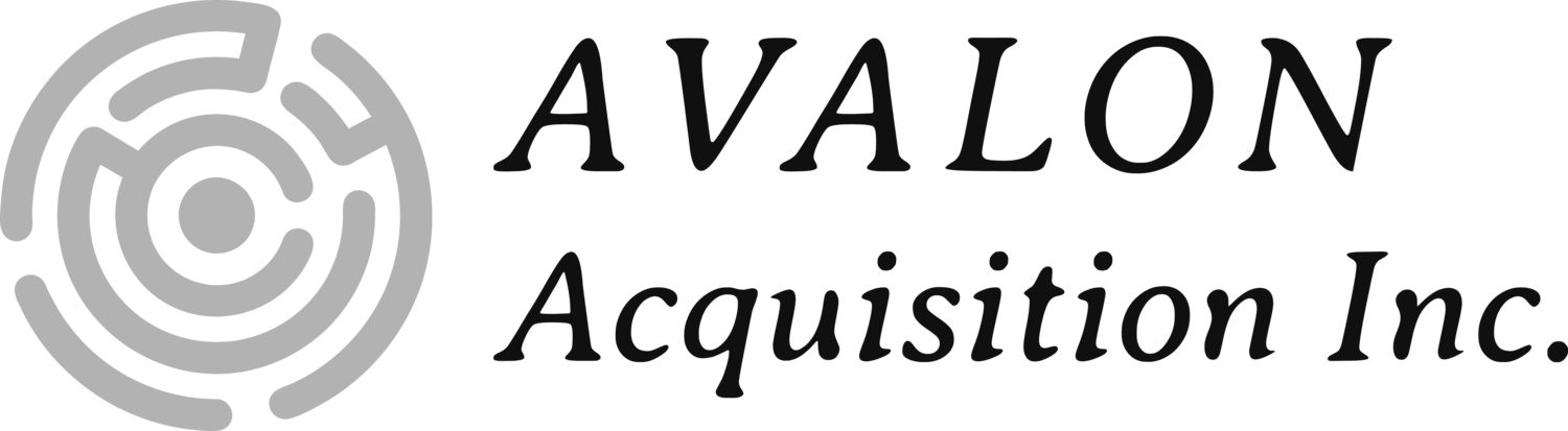 Avalon Acquisition Inc. 