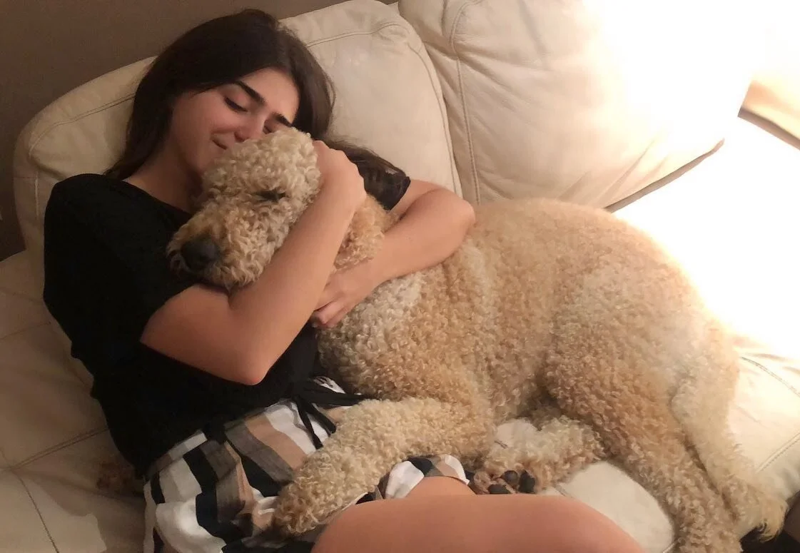 My beautiful boy. We showered Toby with love for 9 and a half years and he gave it back to us tenfold every single day. 

Thank you, Toby, for joining our family, expanding our hearts, and filling our lives with endless joy.

Toby passed away at 3:03