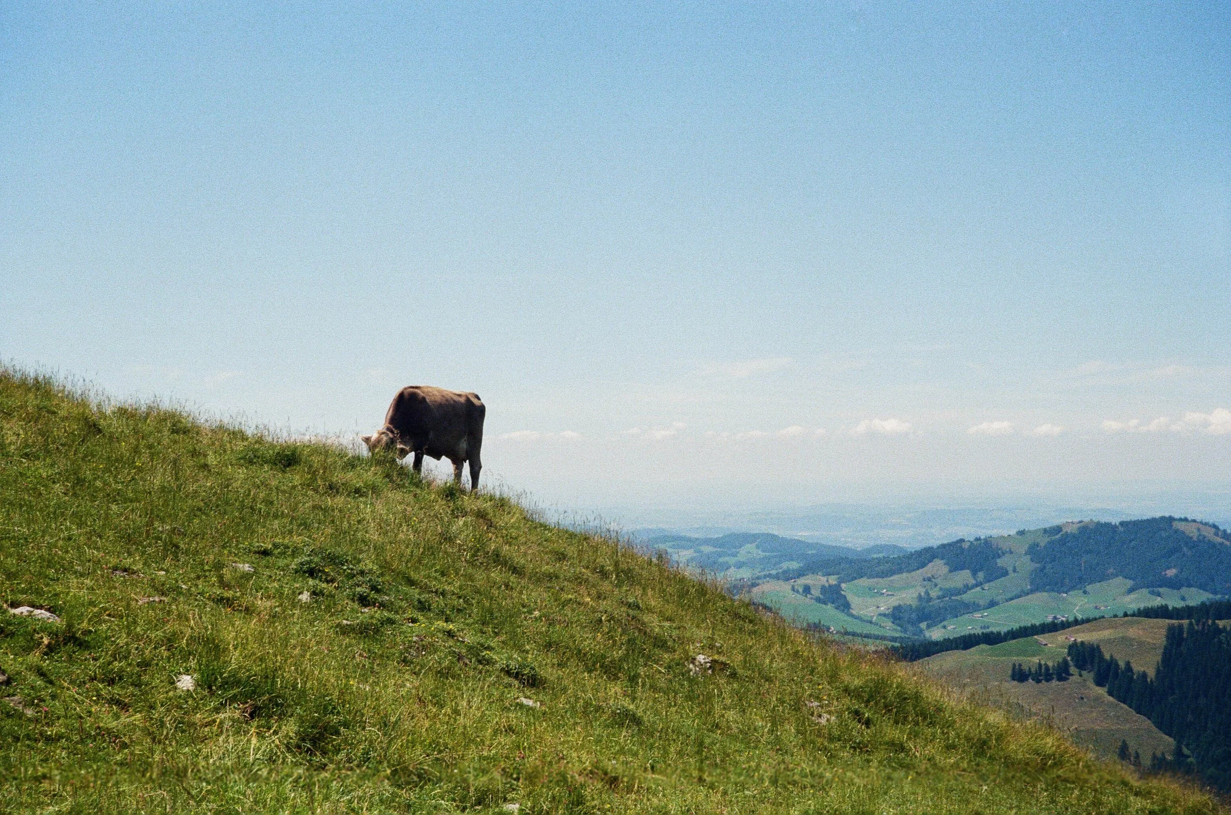 001089870029 copy-2.JPG