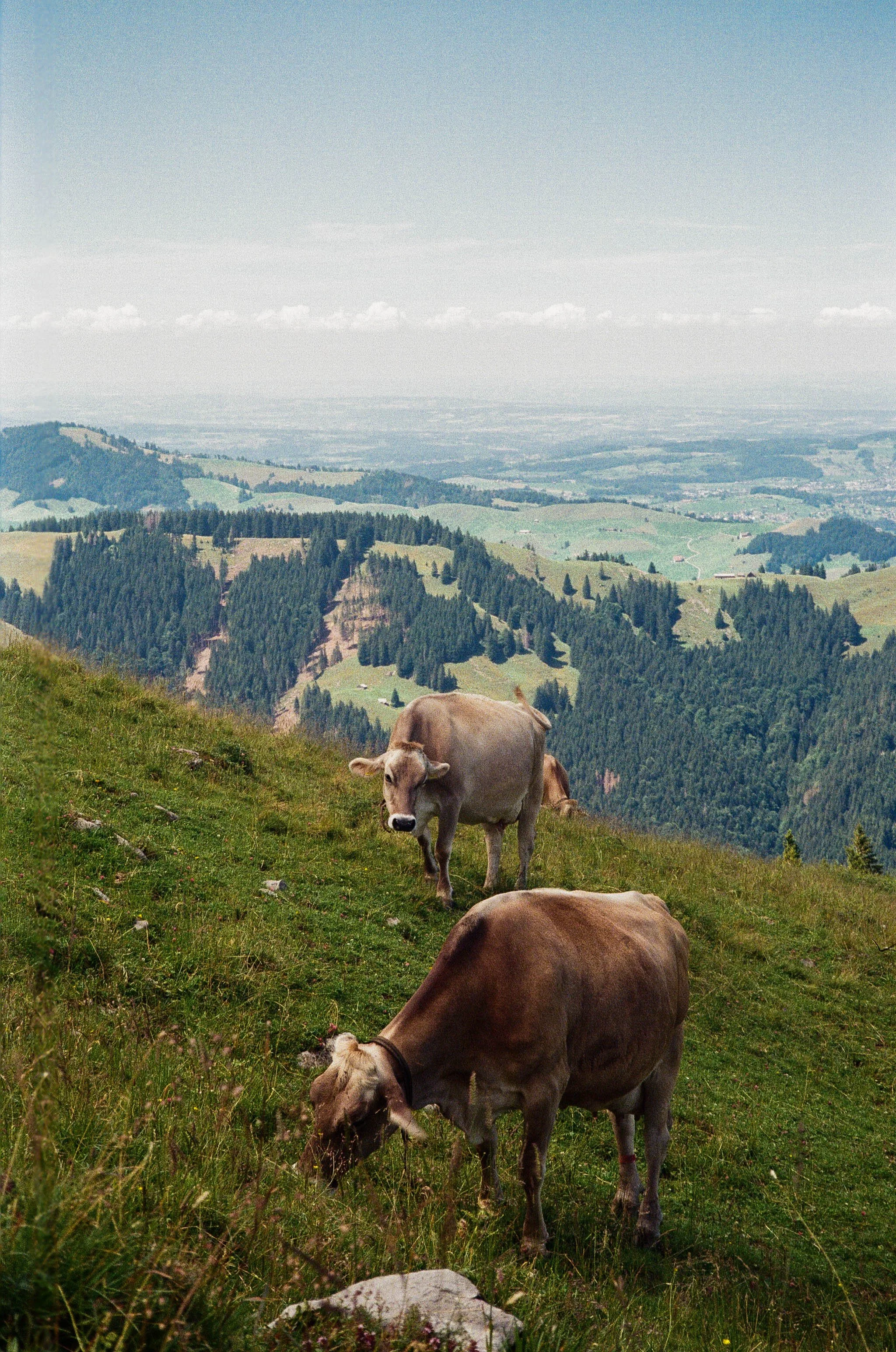 001089870027 copy-2.JPG