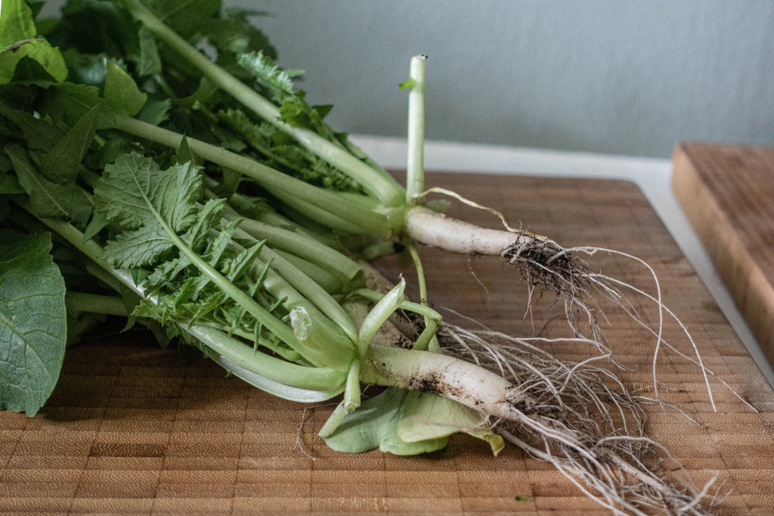 열무된장국 / Yeolmu dwaenjang guk (Korean young radish soup) — cabbage good