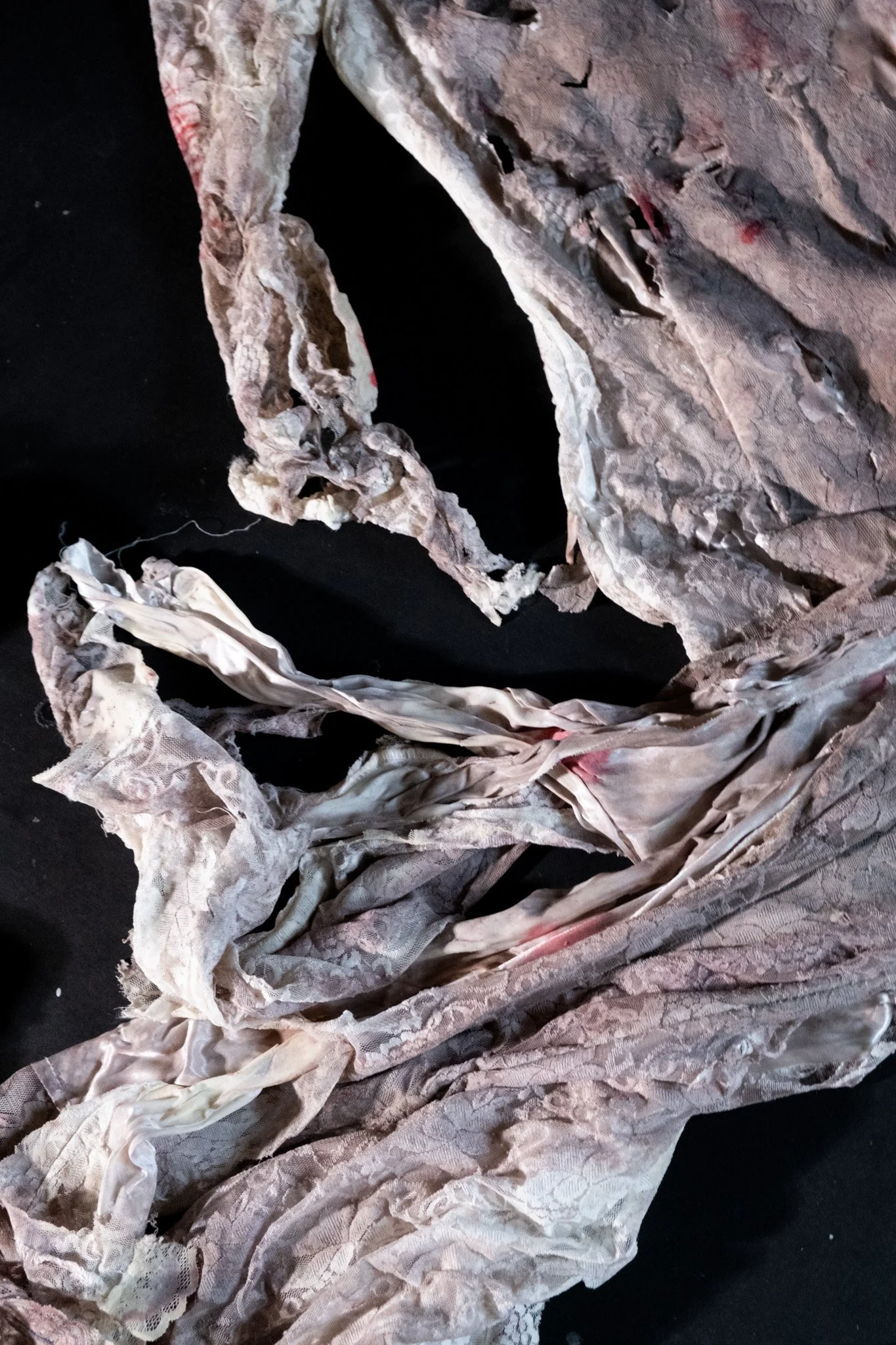 DSCF4970.jpg