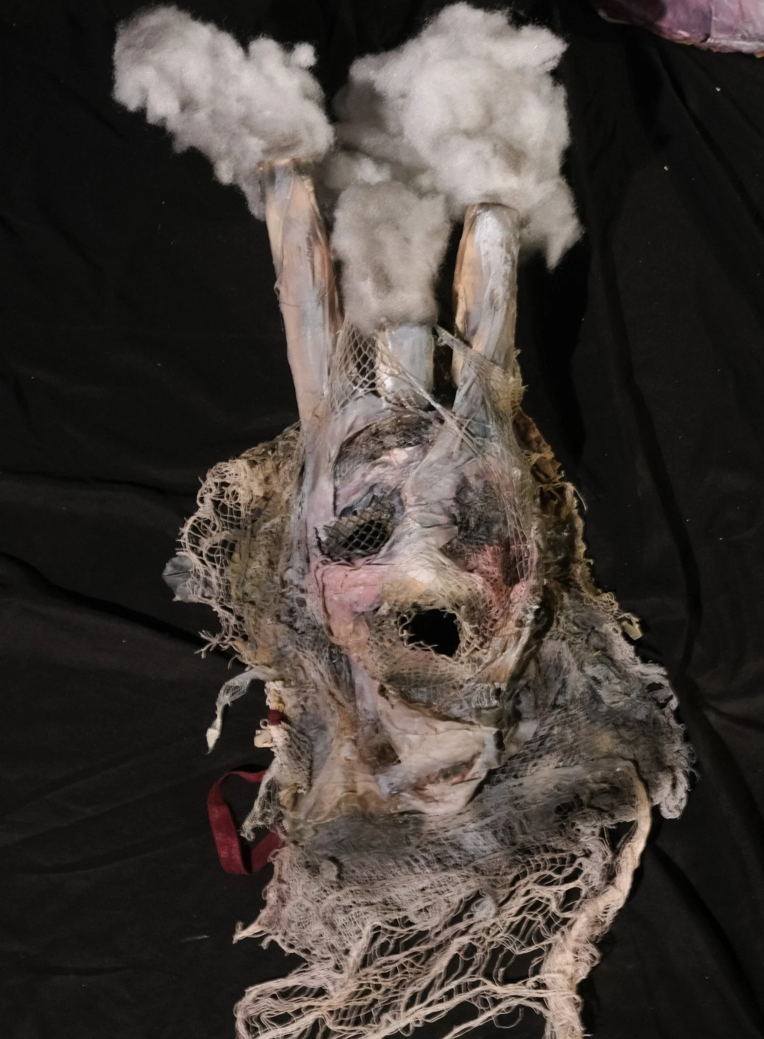 DSCF4917.jpg