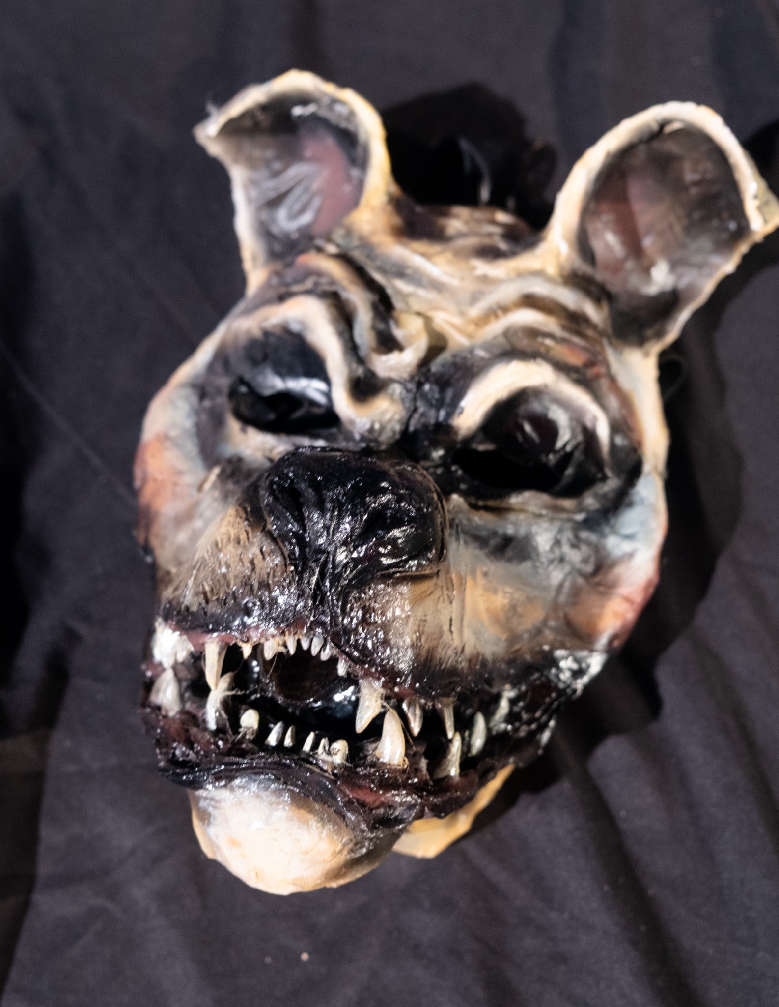 DSCF4838.jpg