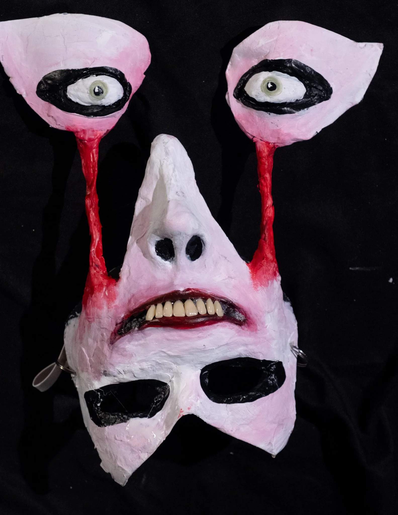 DSCF4826.jpg
