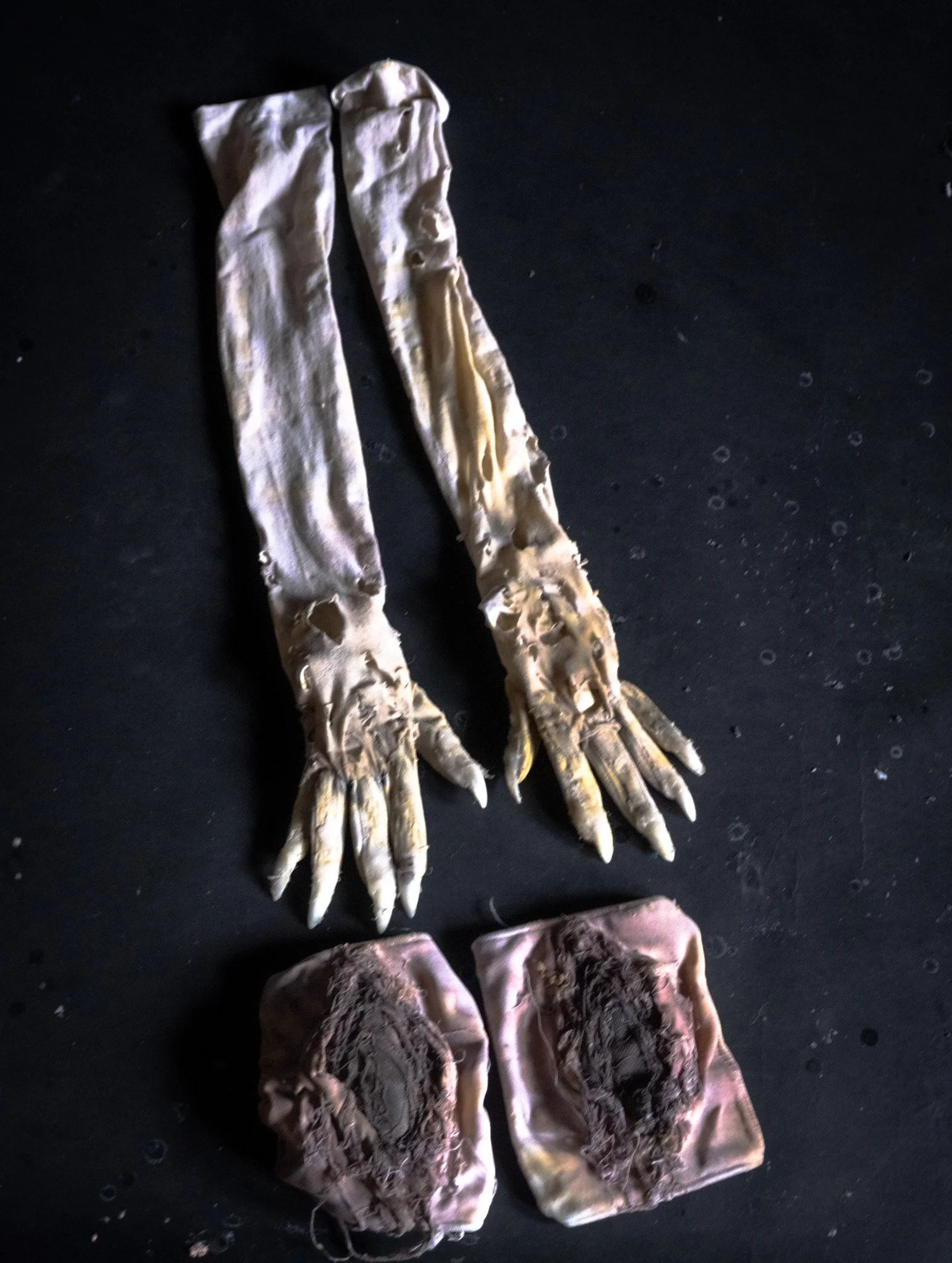 DSCF4584.jpg