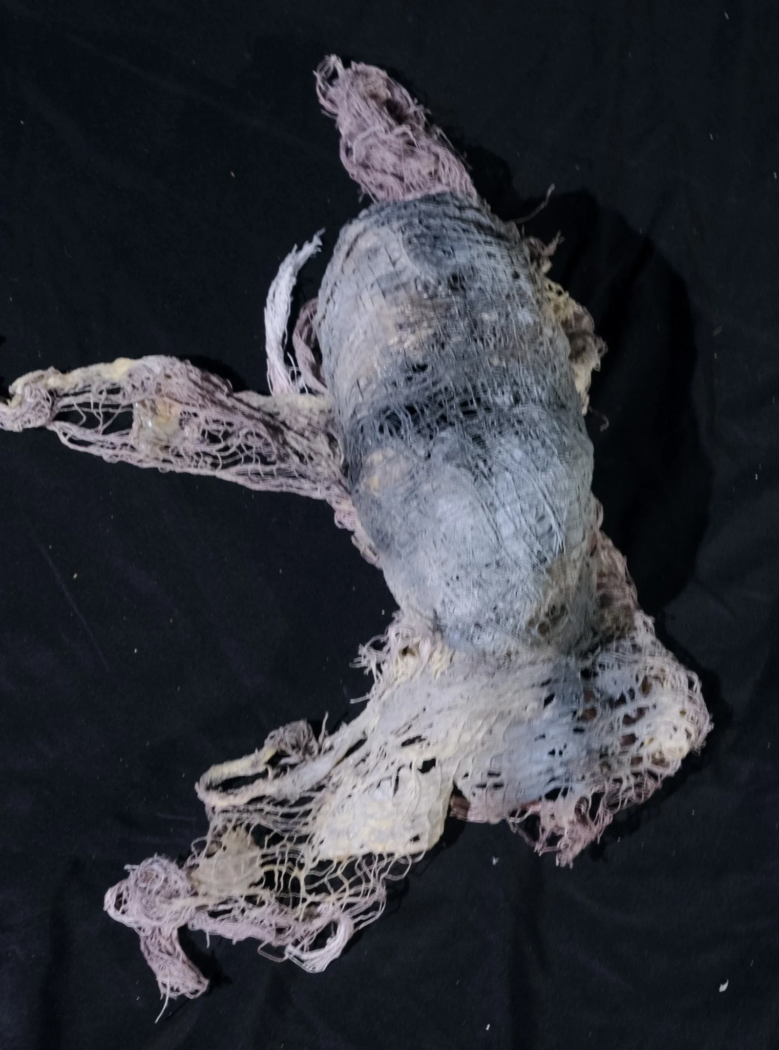 DSCF4896.jpg