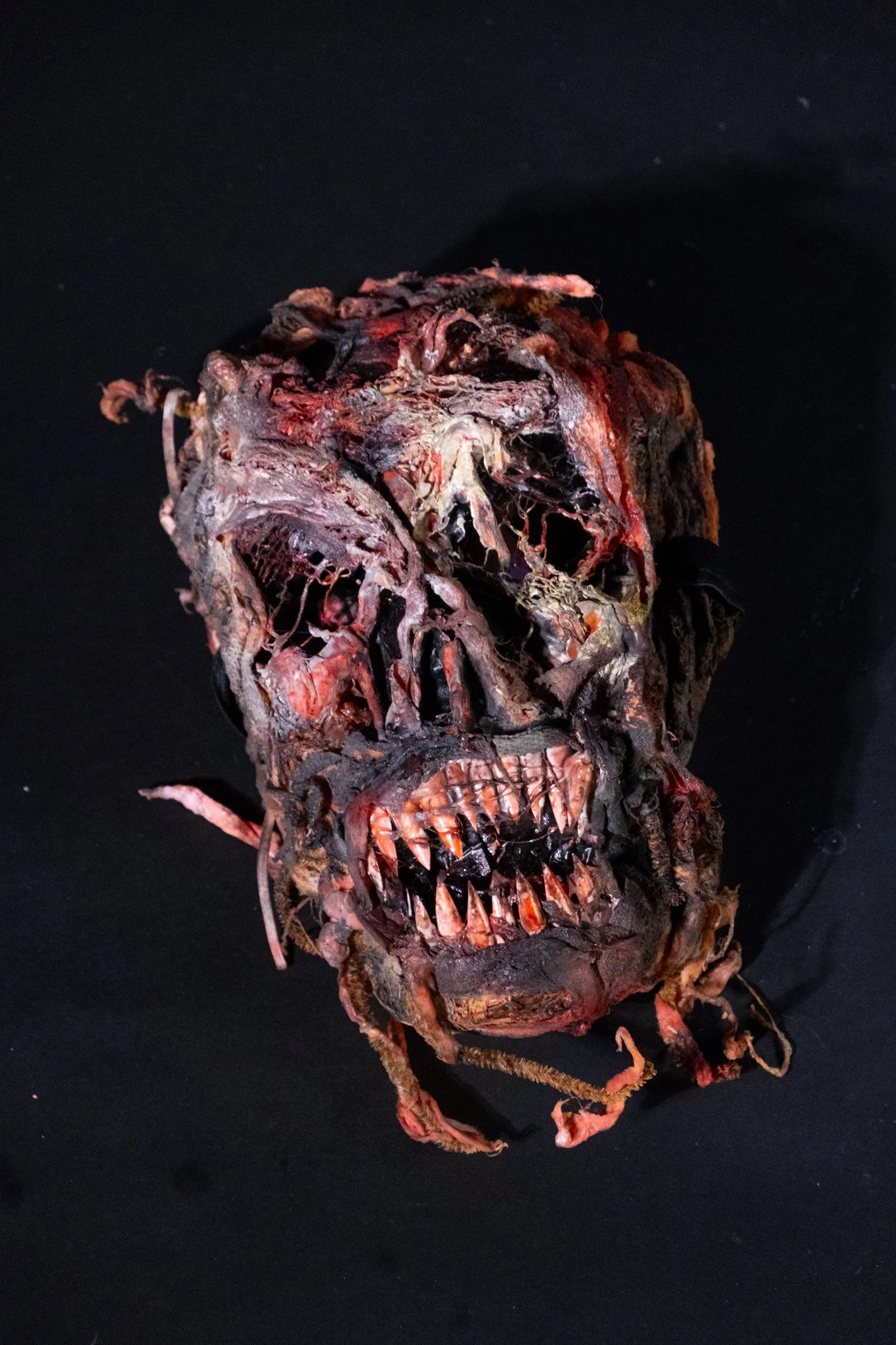 DSCF4951.jpg