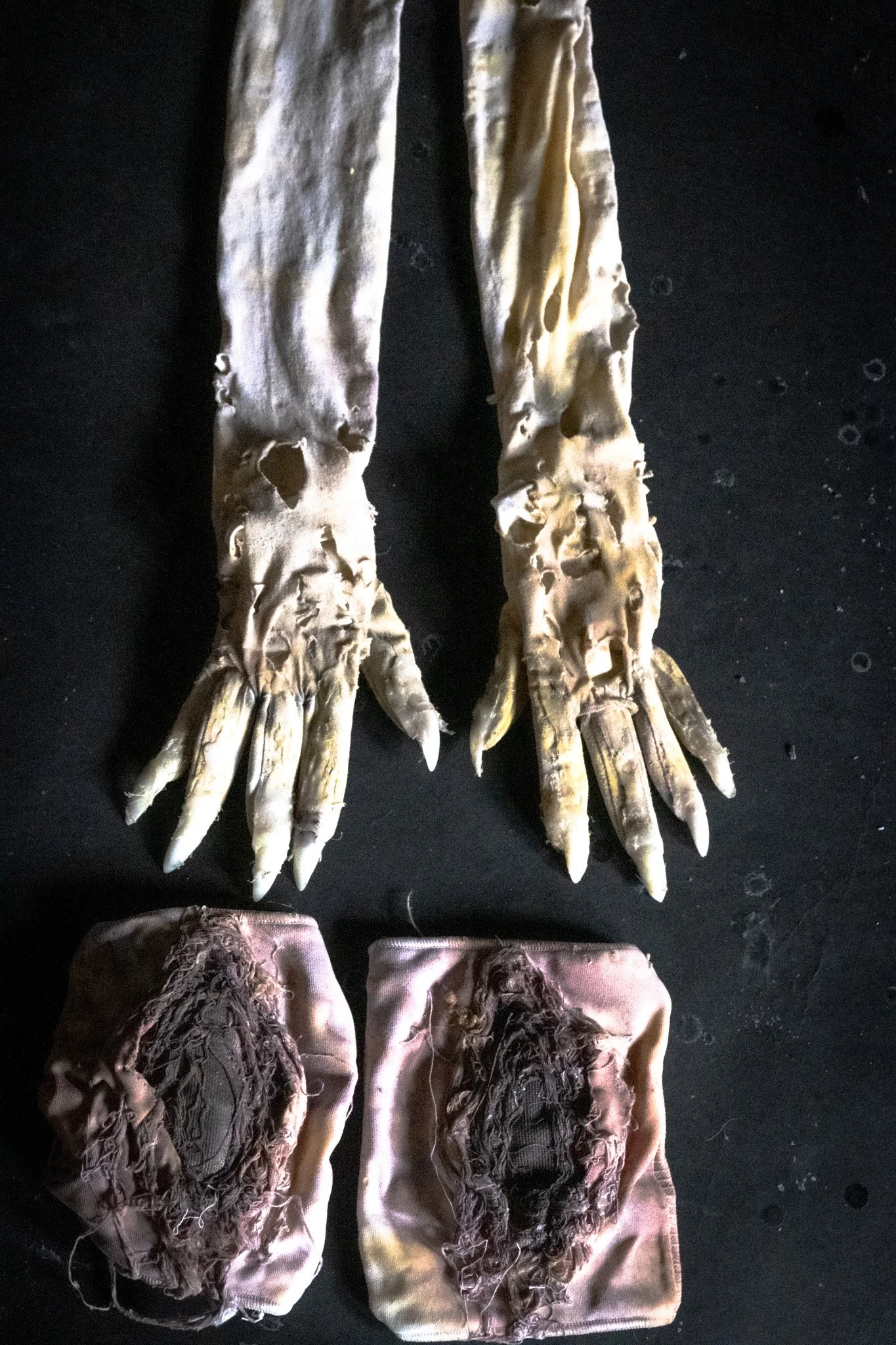 Creature Gloves & Knee Pads