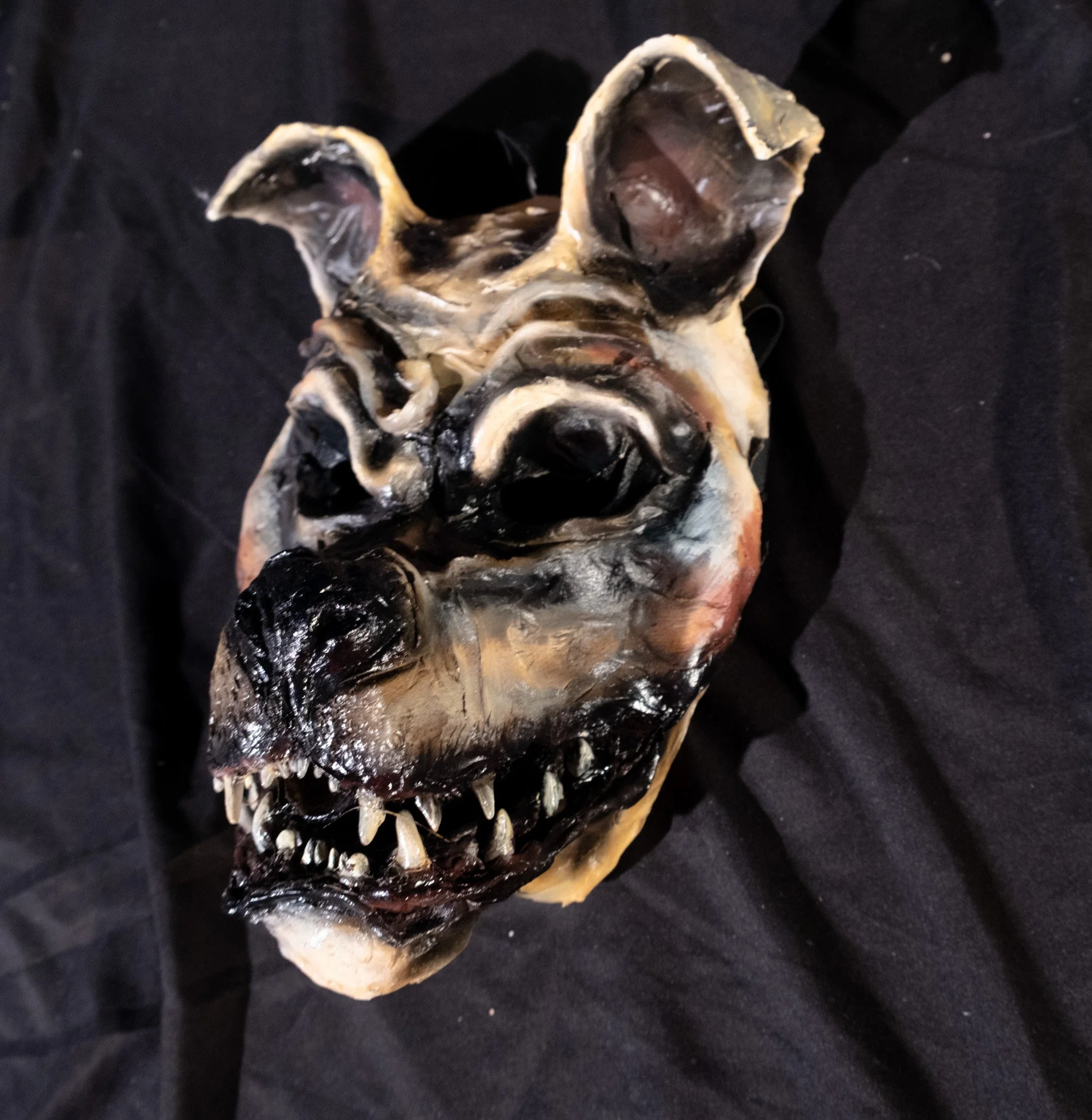 DSCF4840.jpg