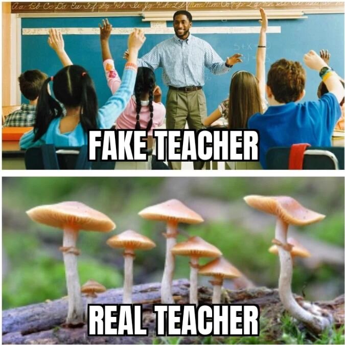 #Public #school #teachers are #pawns being used to #indoctrinate #children to be #modern #day #slaves for the #NWO #Babylon #satanic #beast #system.

#Nature is the #real #teacher!.
Not #indoctrinated #programmed #delusional #brainwashed #conditioned