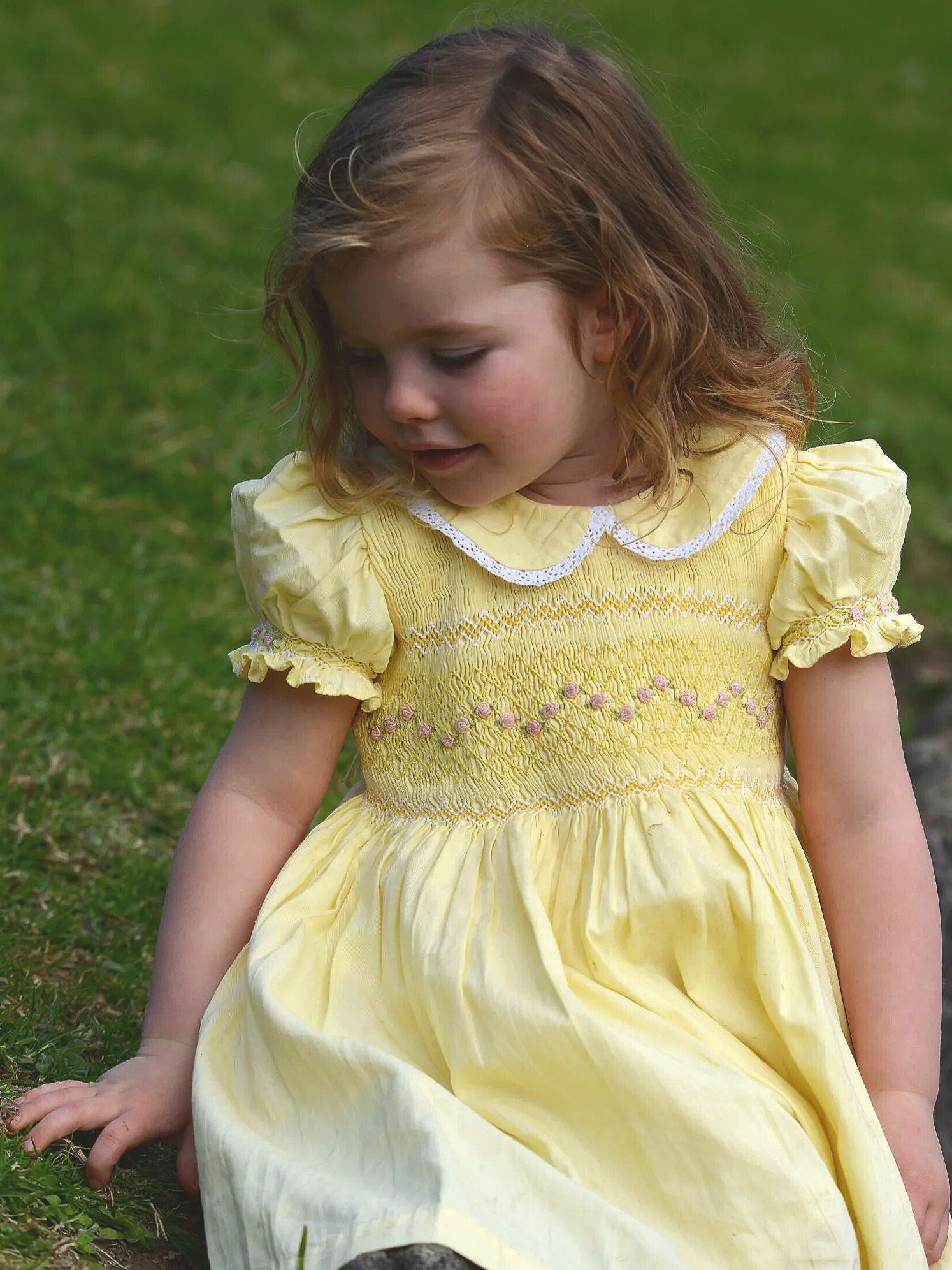 processed_DSC_8241.png