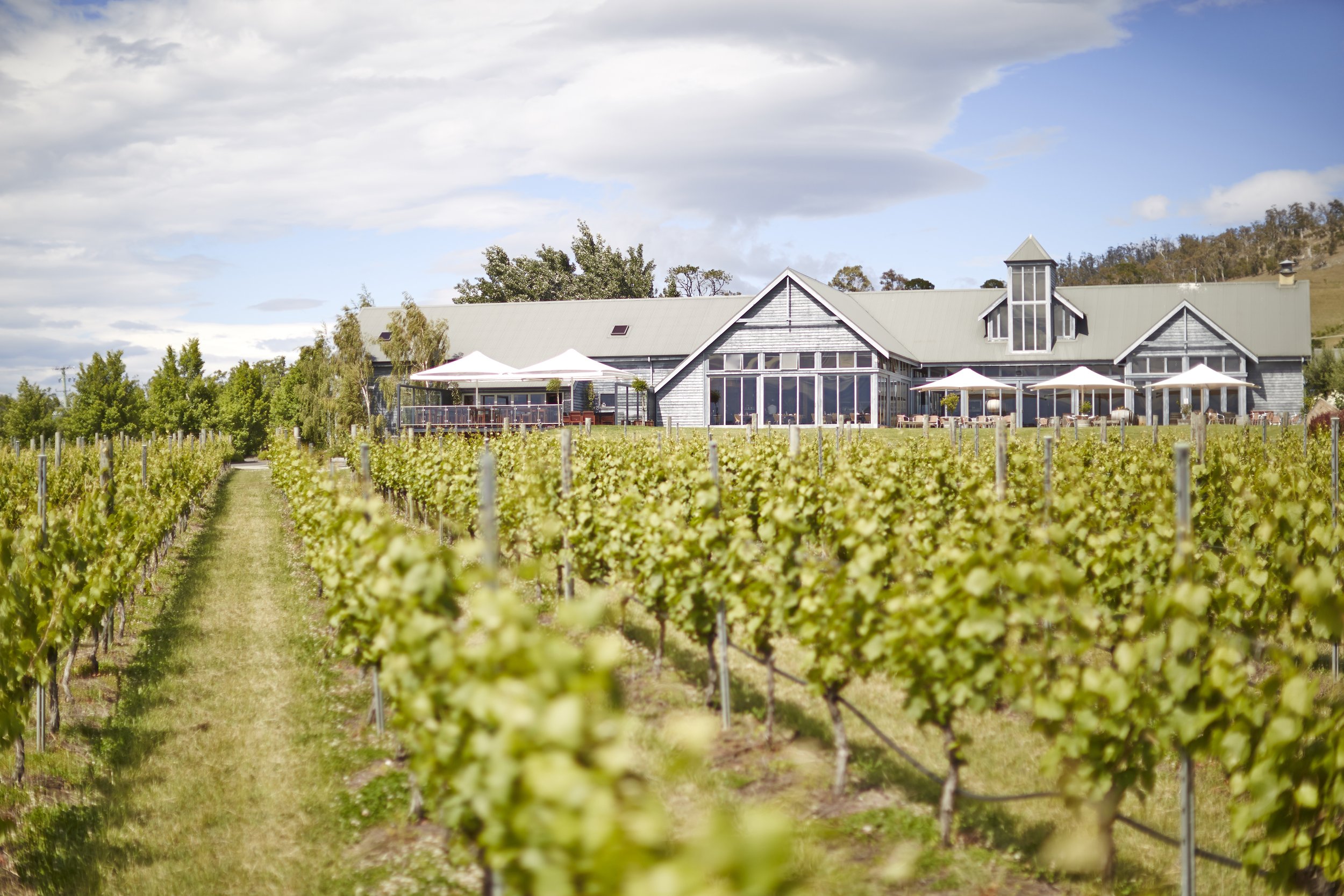 Tasmanian Hobart Private Group Minibus Transport Food & Wine Tours