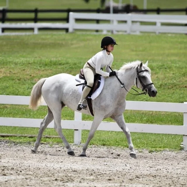 Windermere Equestrian Center