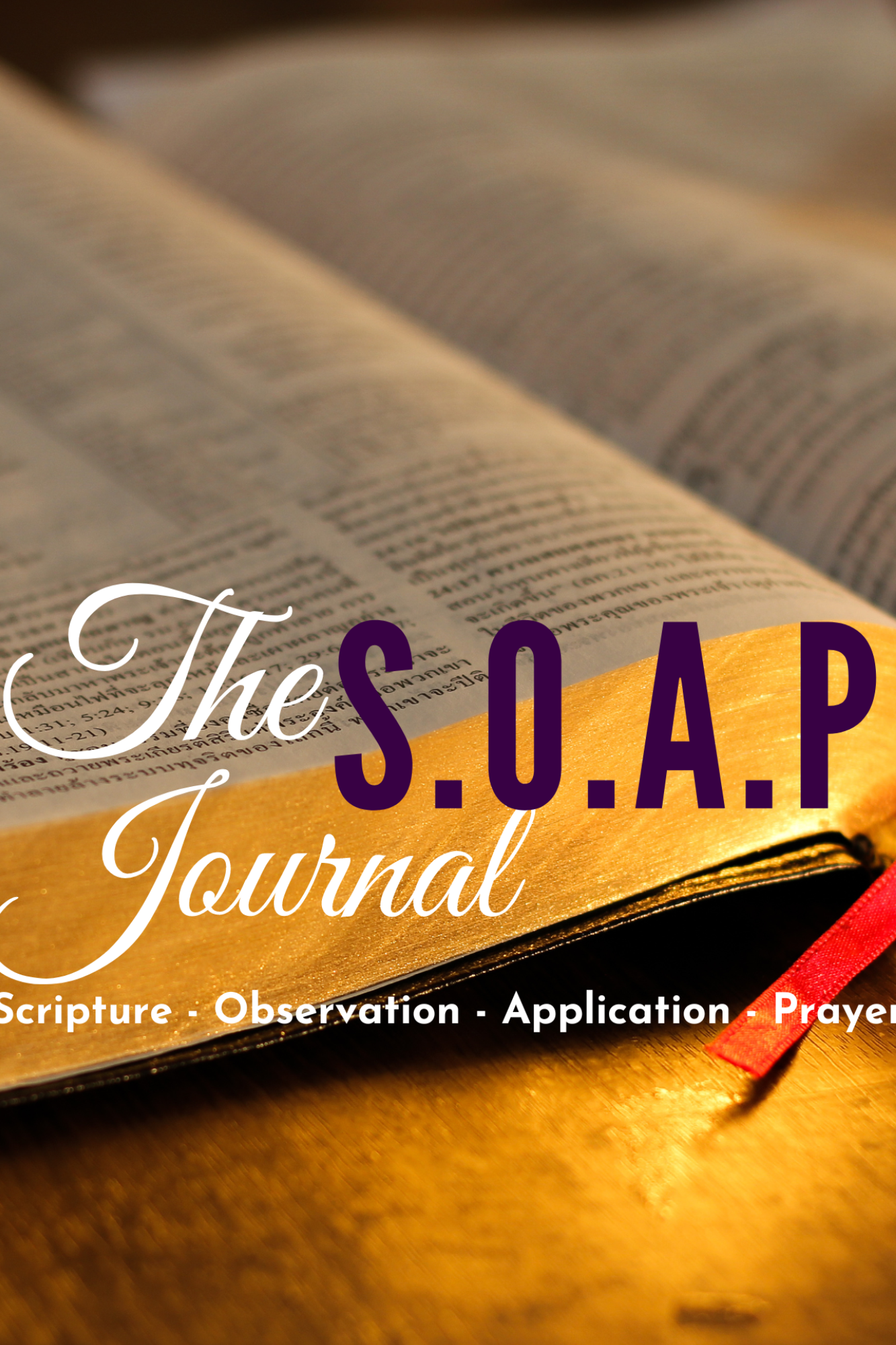 SOAP Journal .png