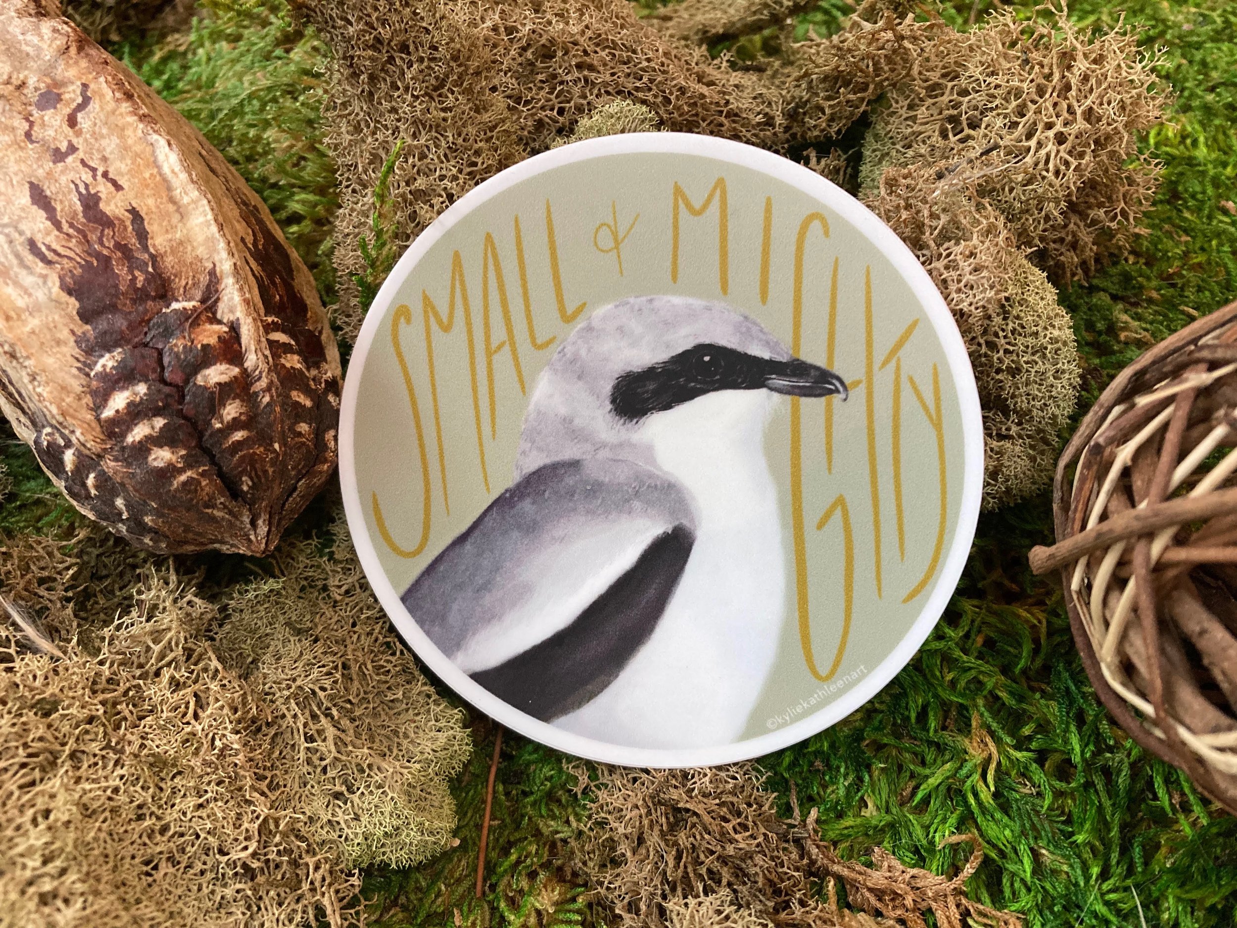 Loggerhead Shrike Sticker