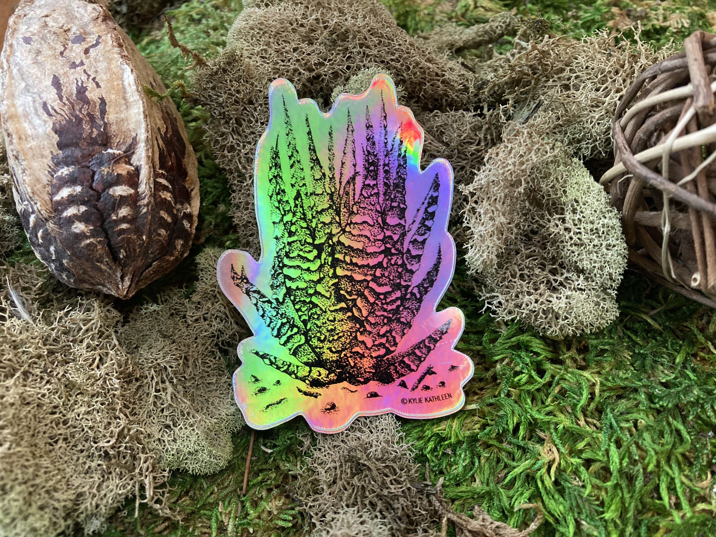 Holographic Haworthia Sticker