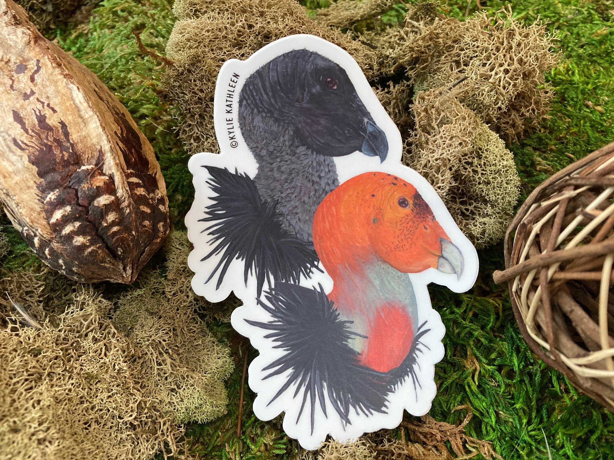 California Condors Sticker