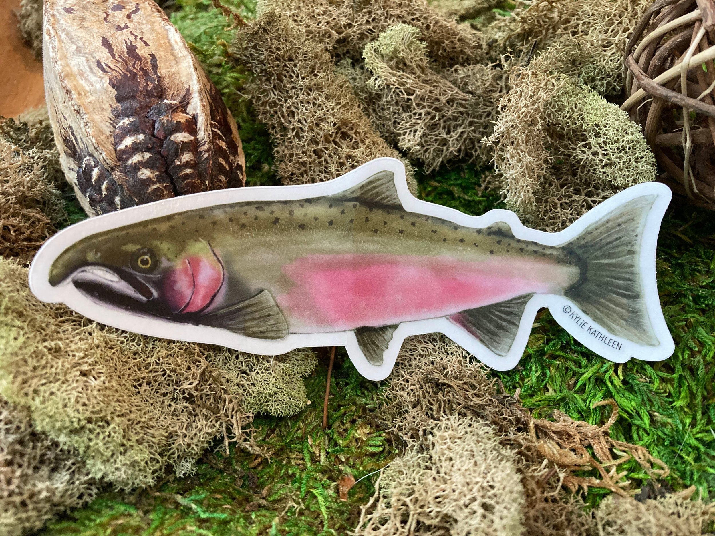 Coho Salmon Sticker