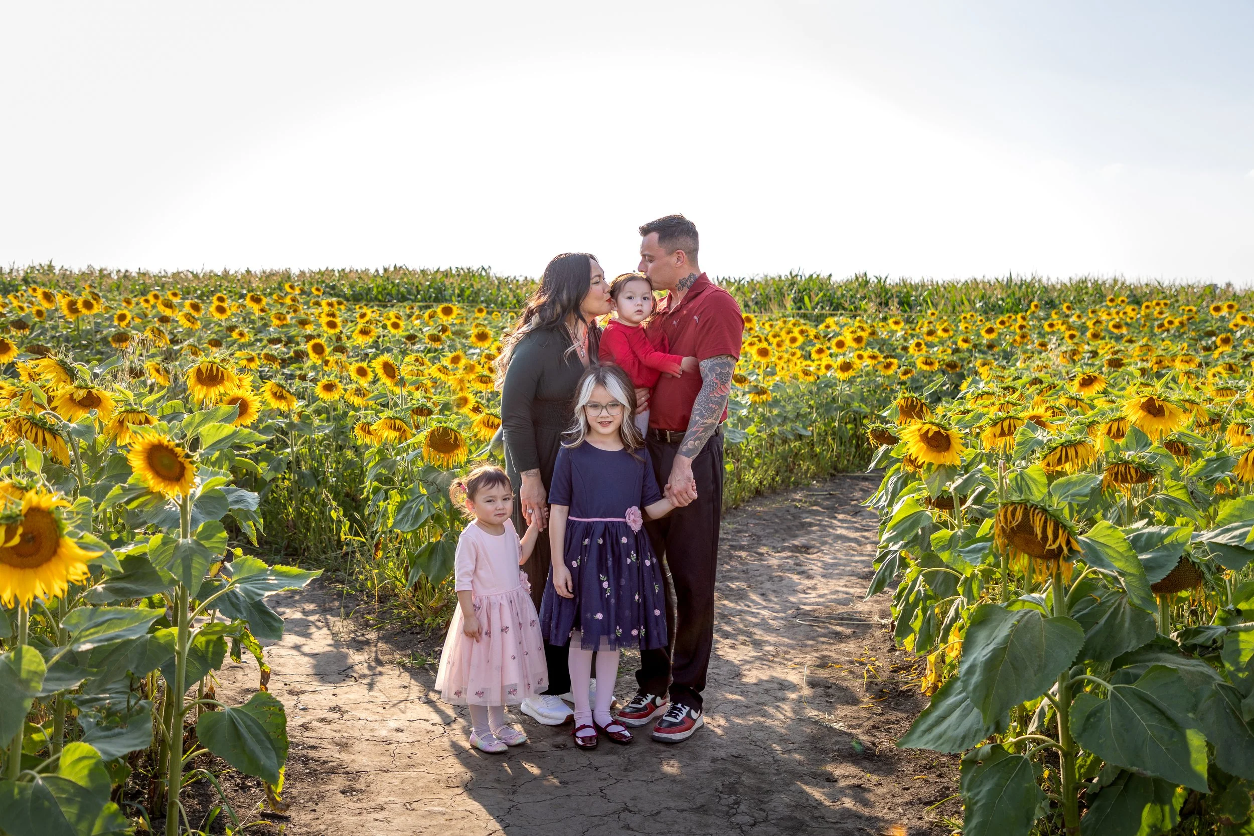 YEG Sunflower Family Photographer