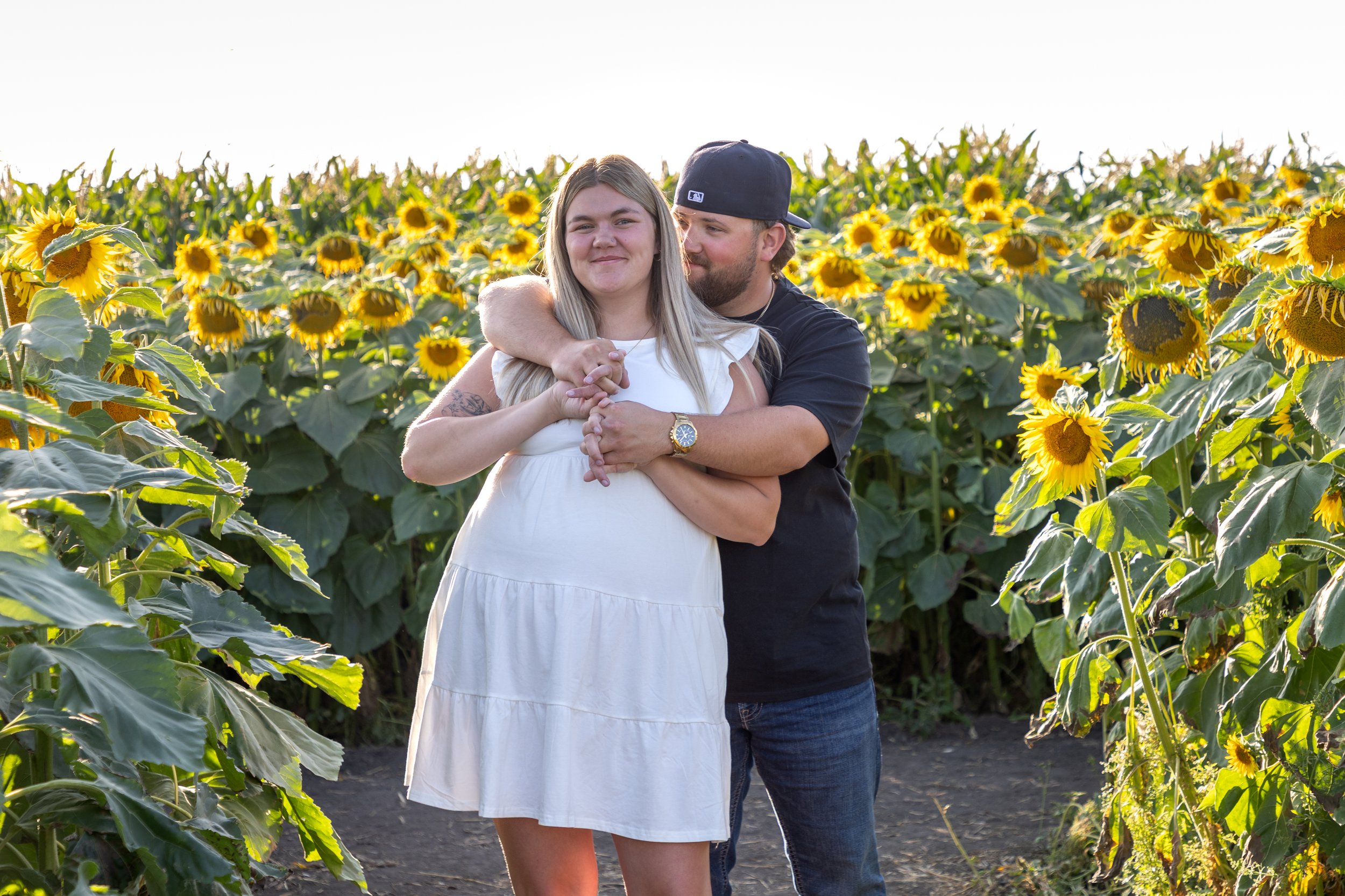 Sunflower Field Alberta Photographer