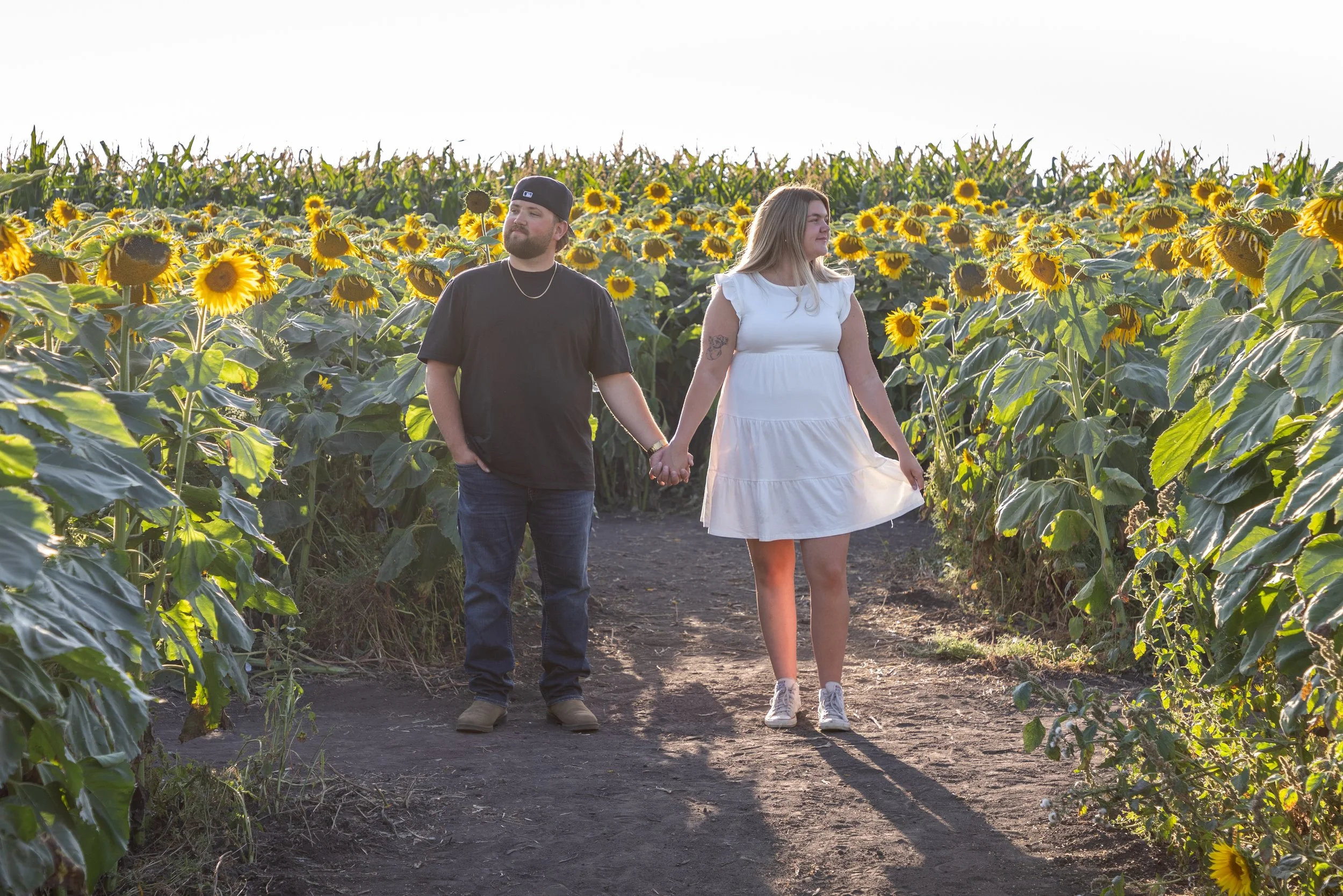 Sunflower Photographer