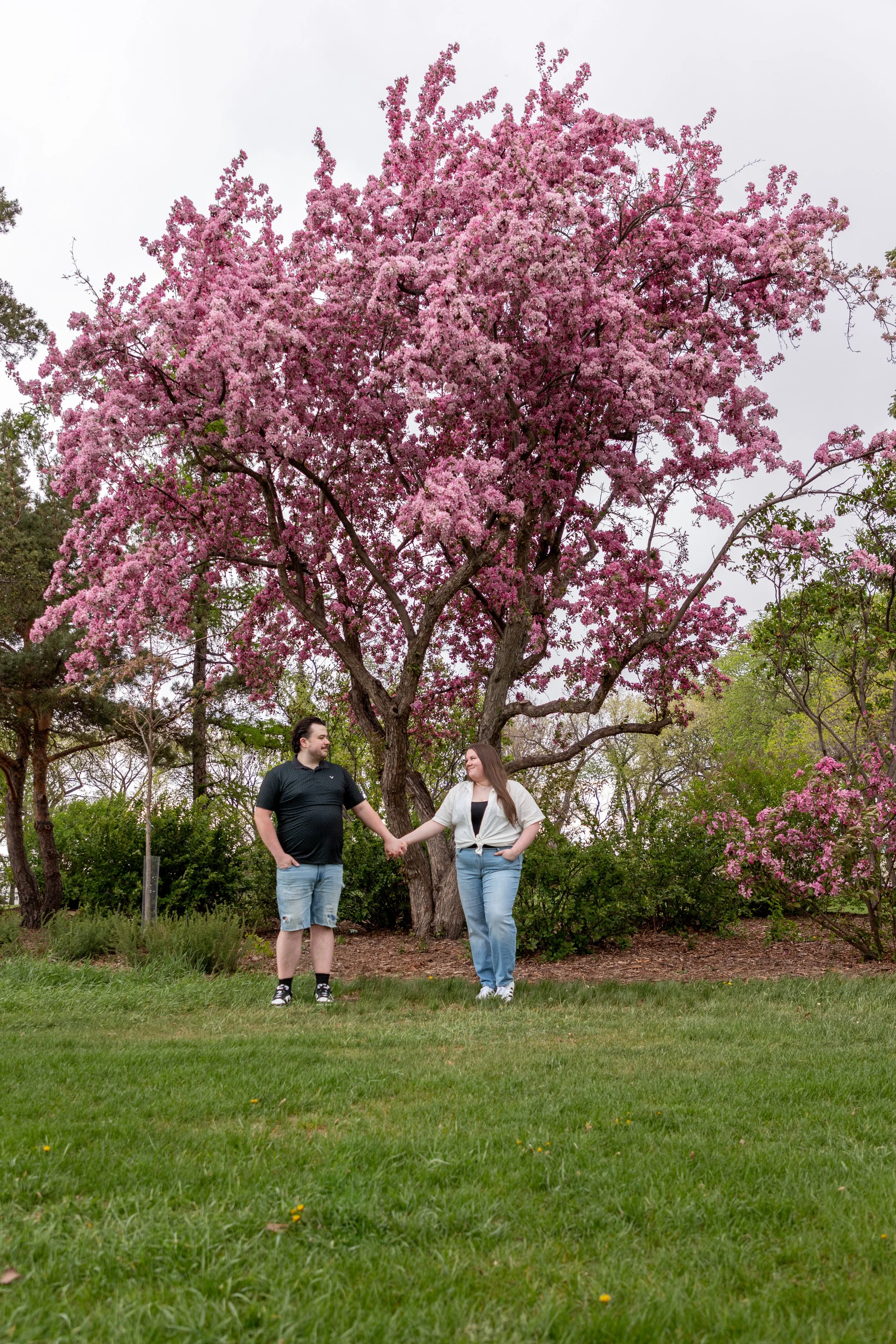 Cherry Blossom Edmonton Photographer