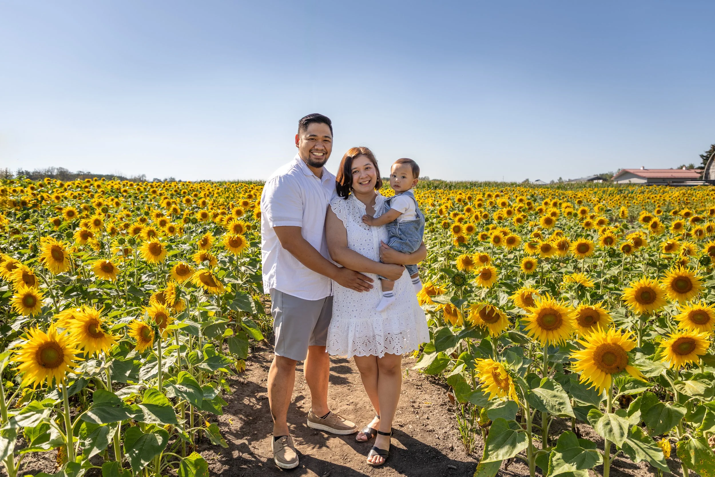 Sunflower Family Session - Edmonton Alberta